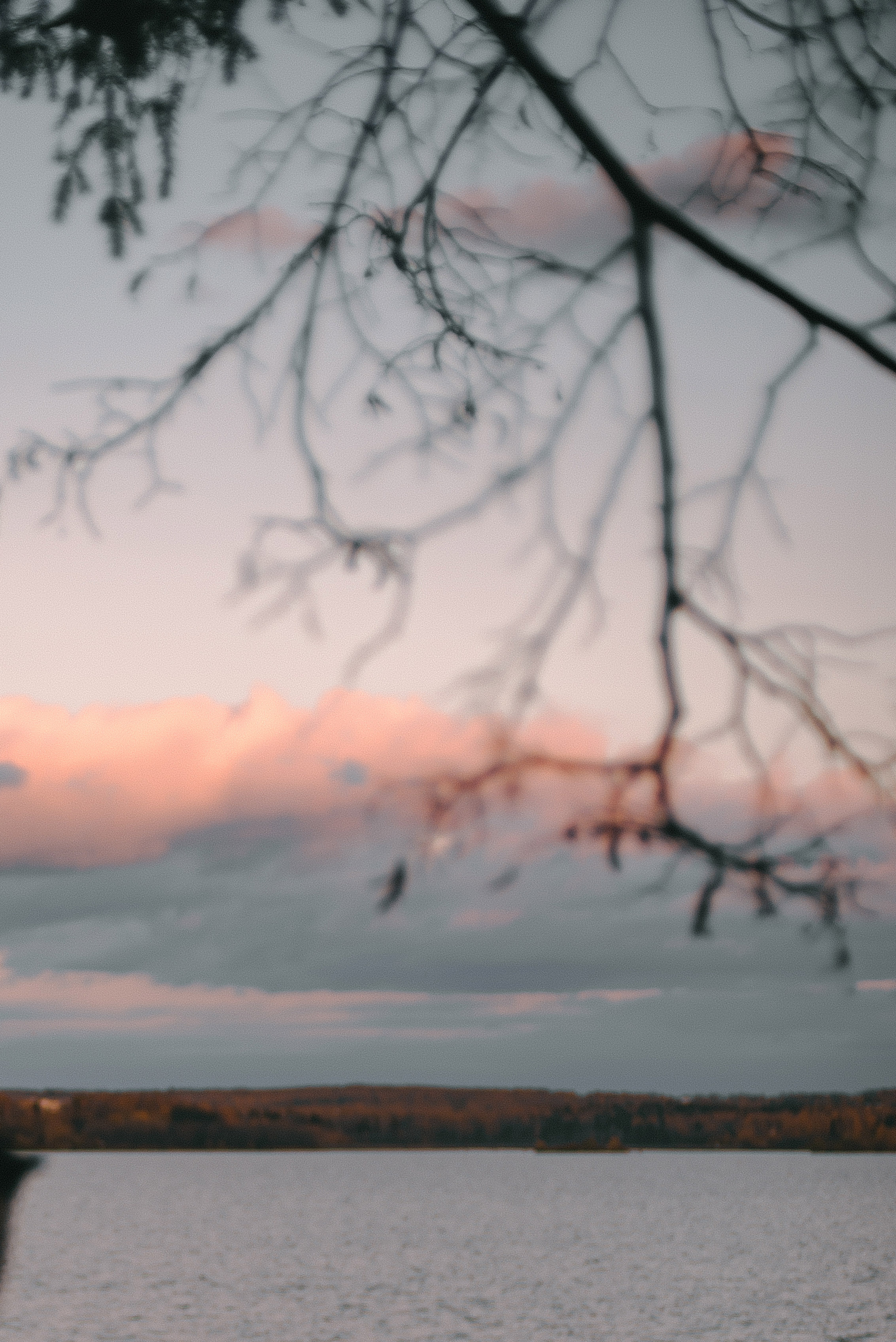 Максим и Виктория. Свадебный фотограф Анастасия Сюзанова