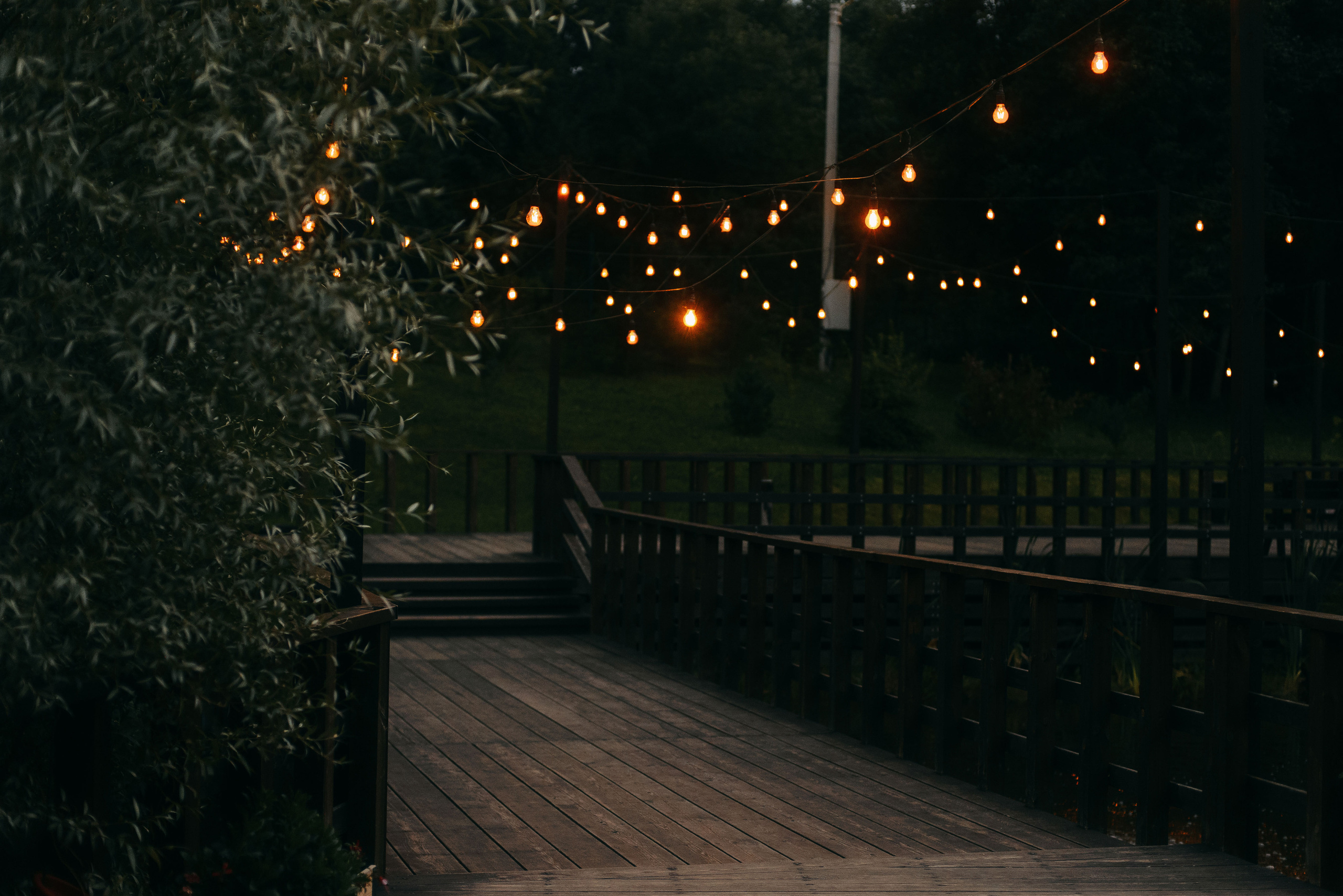 Александр и Натали. Свадебный фотограф Анастасия Сюзанова