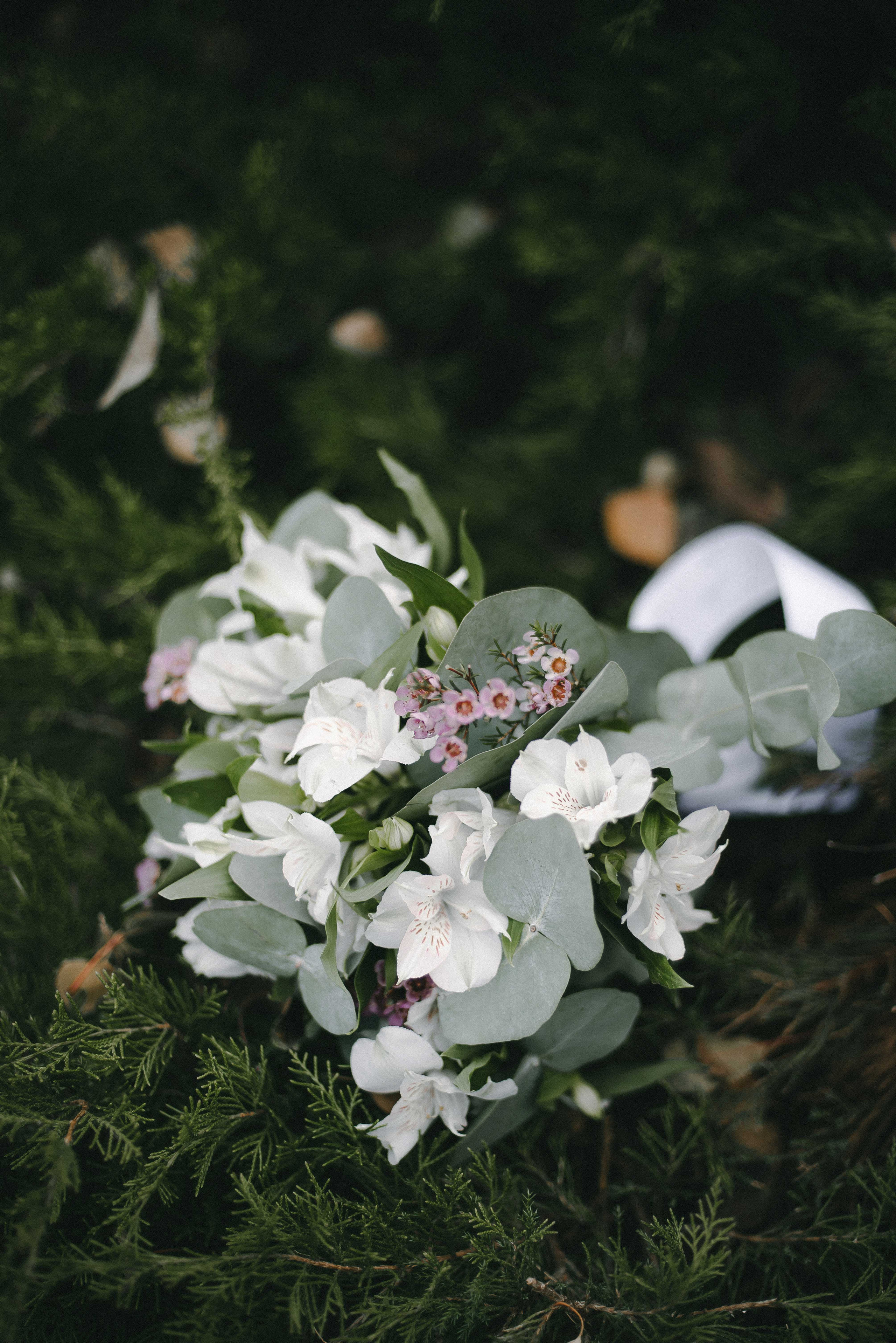Максим и Виктория. Свадебный фотограф Анастасия Сюзанова