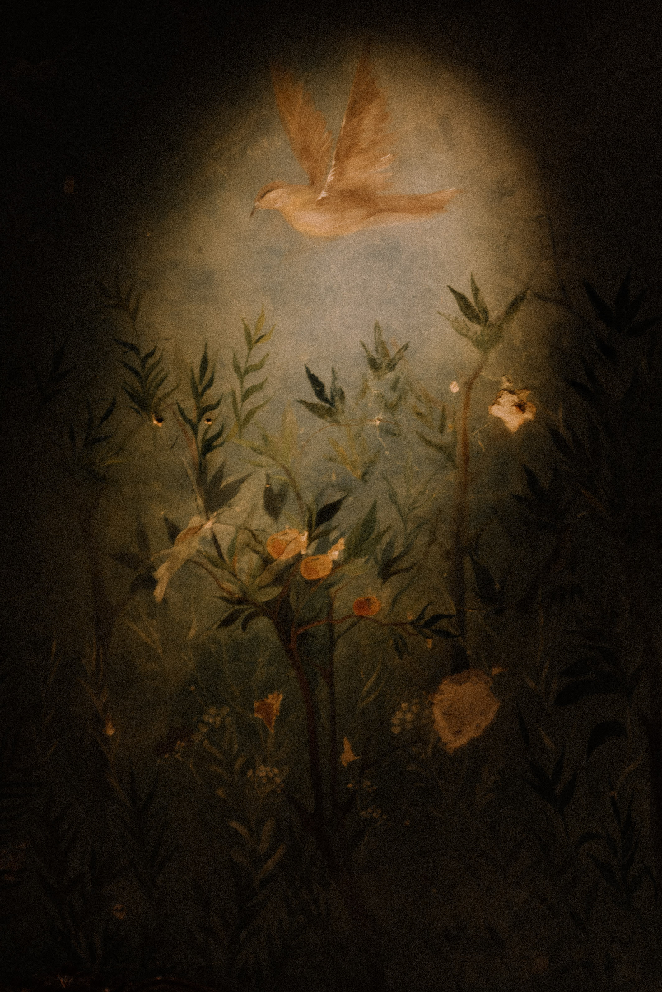 Ангелина. Свадебный фотограф Анастасия Сюзанова