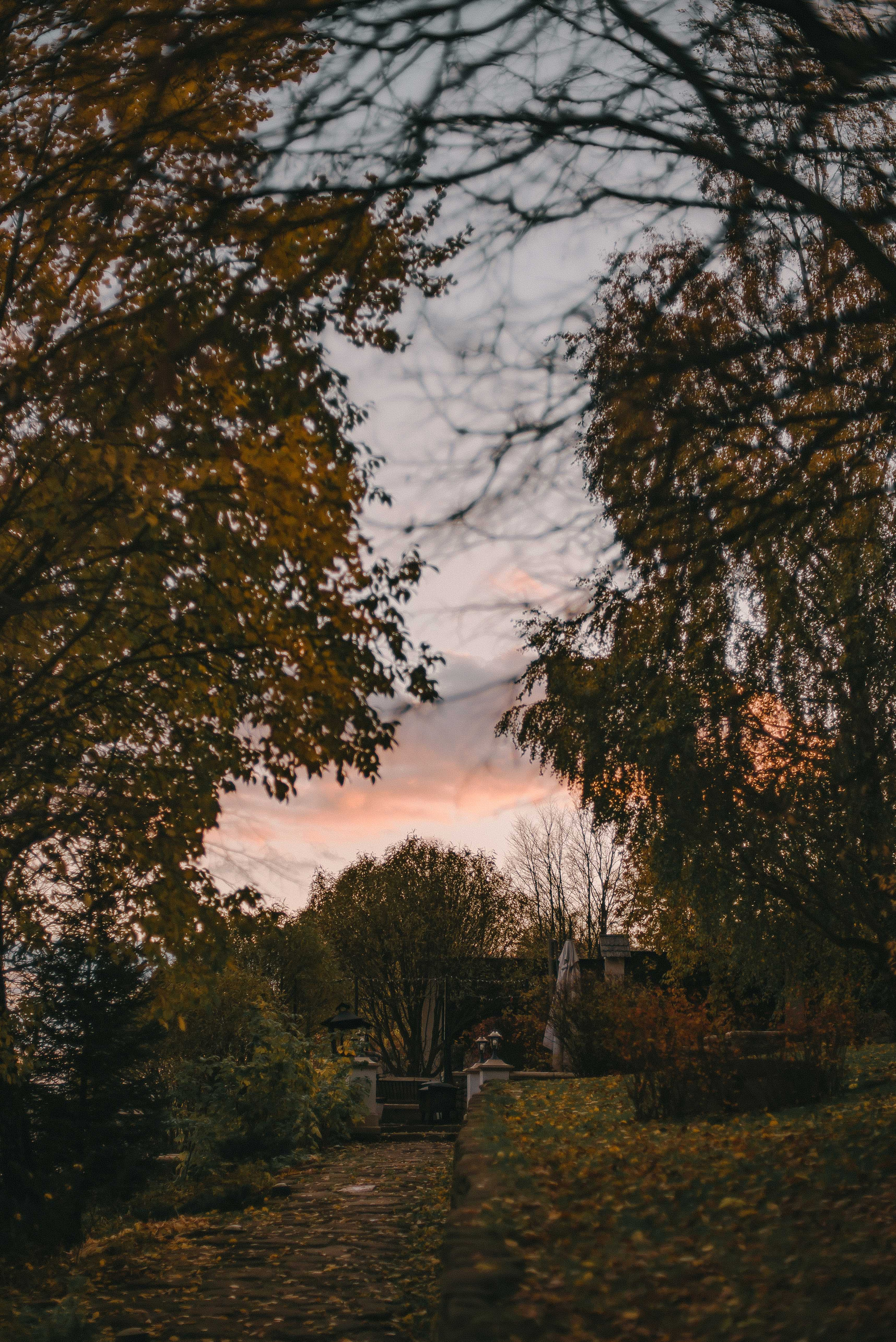 Максим и Виктория. Свадебный фотограф Анастасия Сюзанова