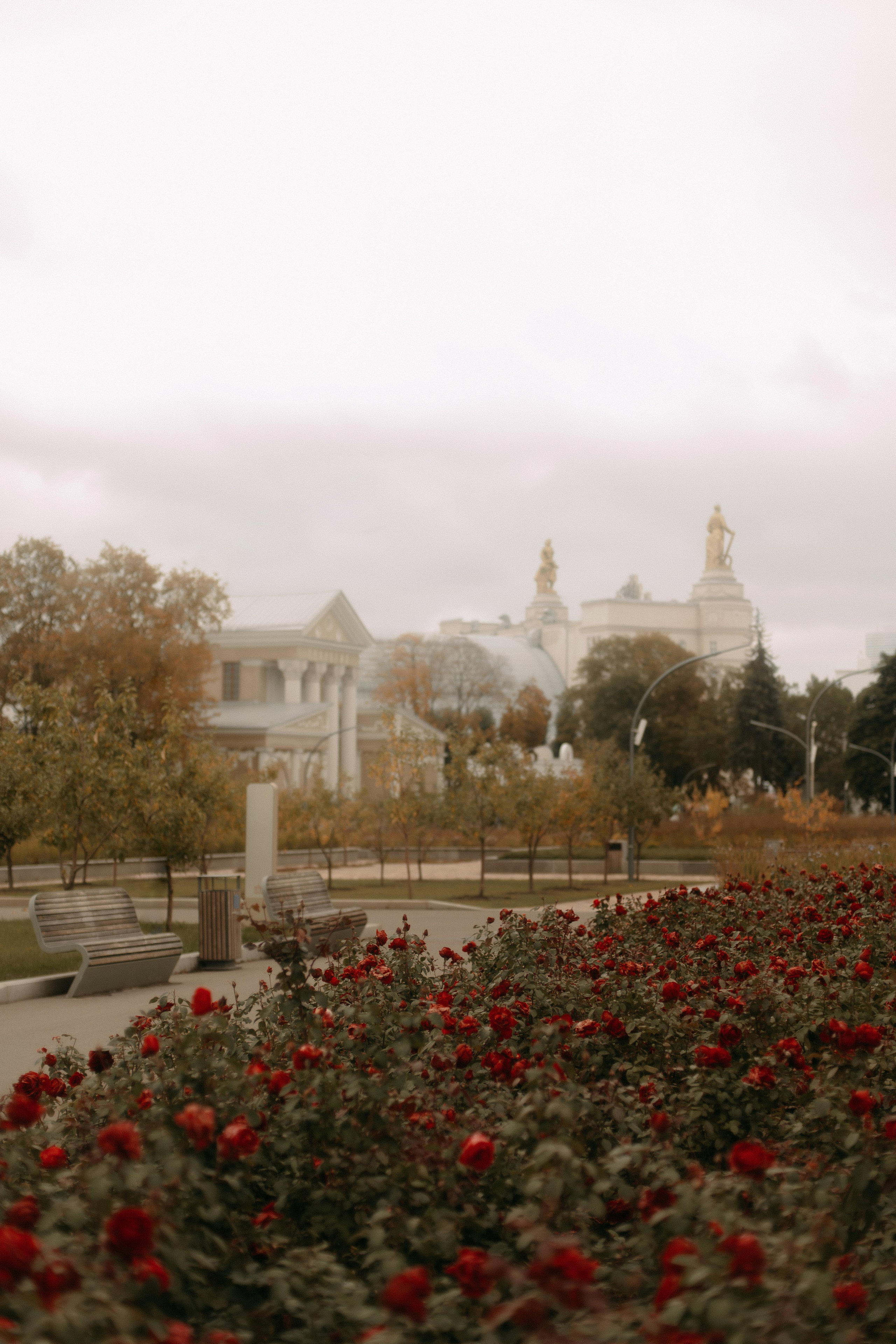 Егор и Вероника. Свадебный фотограф Анастасия Сюзанова