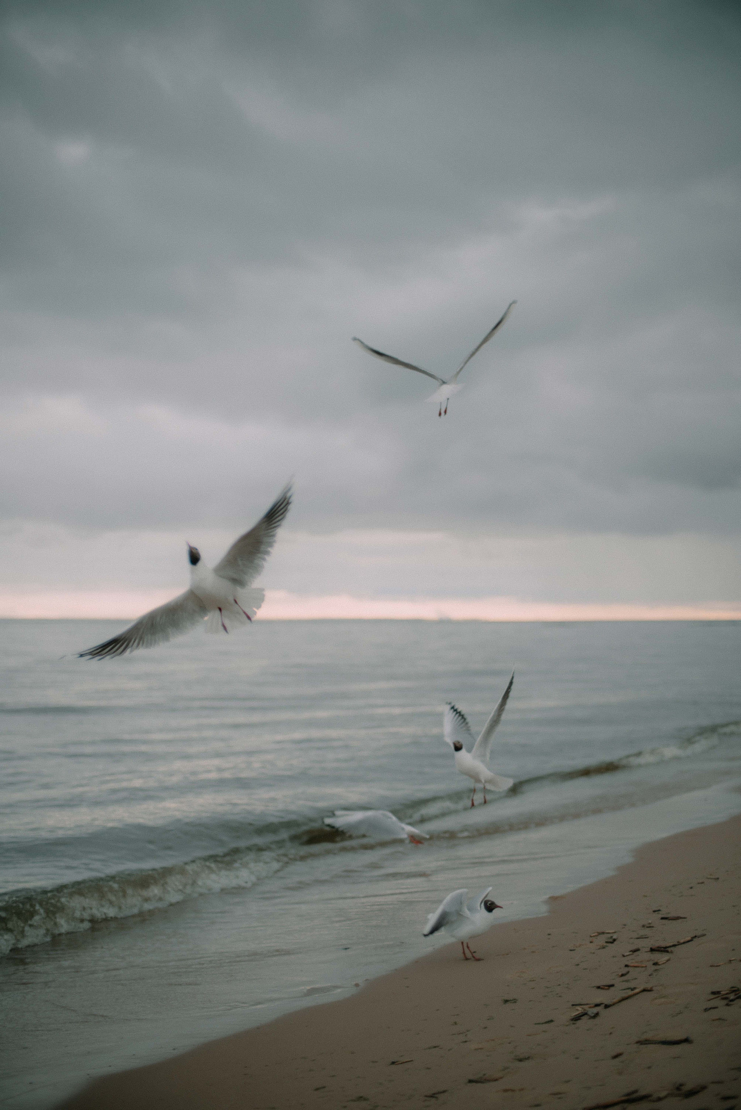 Дарья. Свадебный фотограф Анастасия Сюзанова