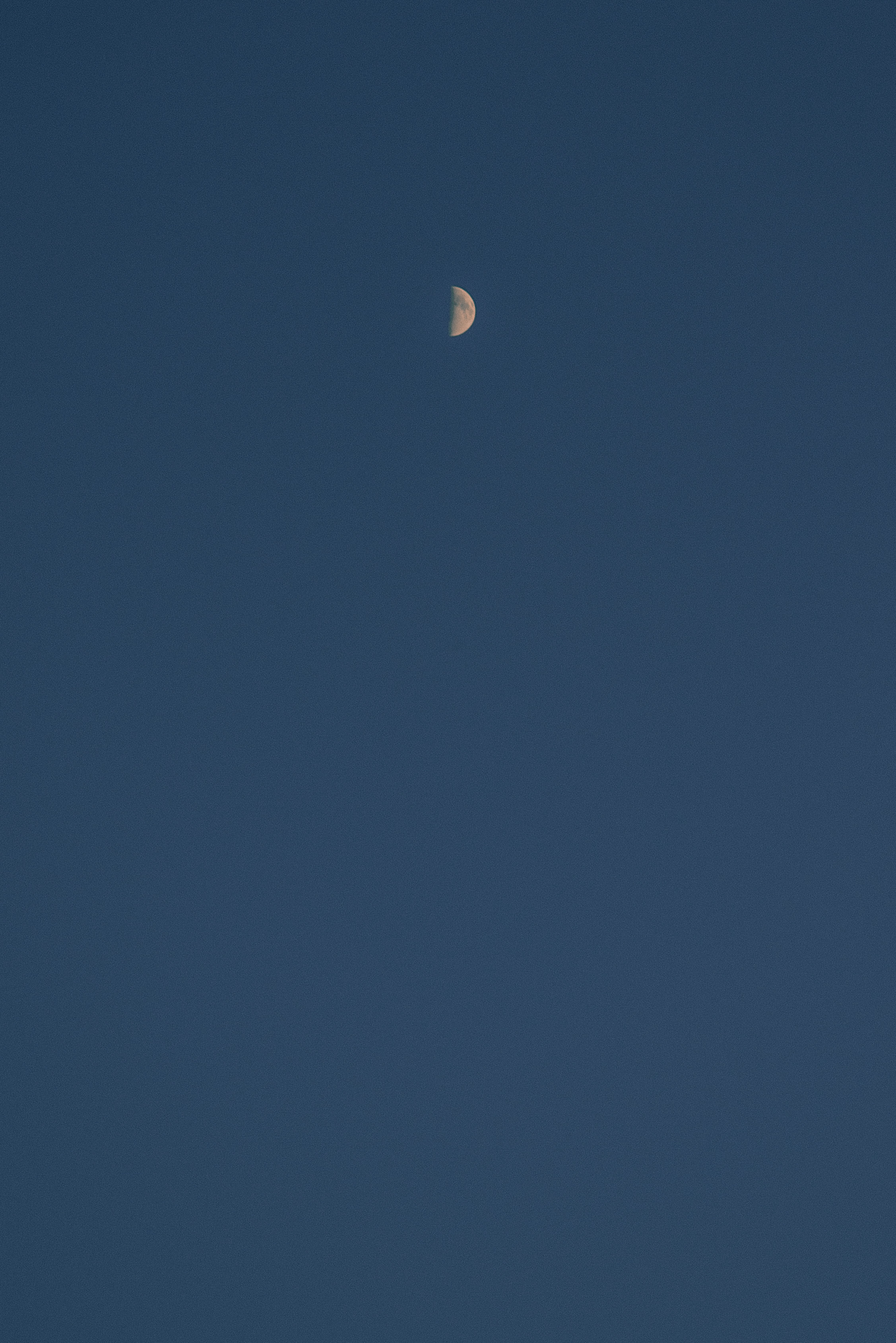 Кира. Свадебный фотограф Анастасия Сюзанова