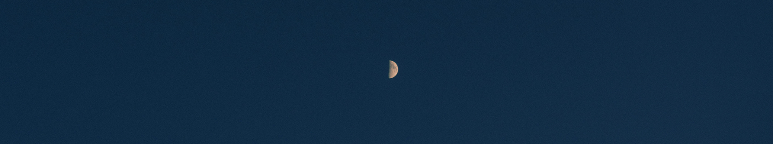 Кира. Свадебный фотограф Анастасия Сюзанова