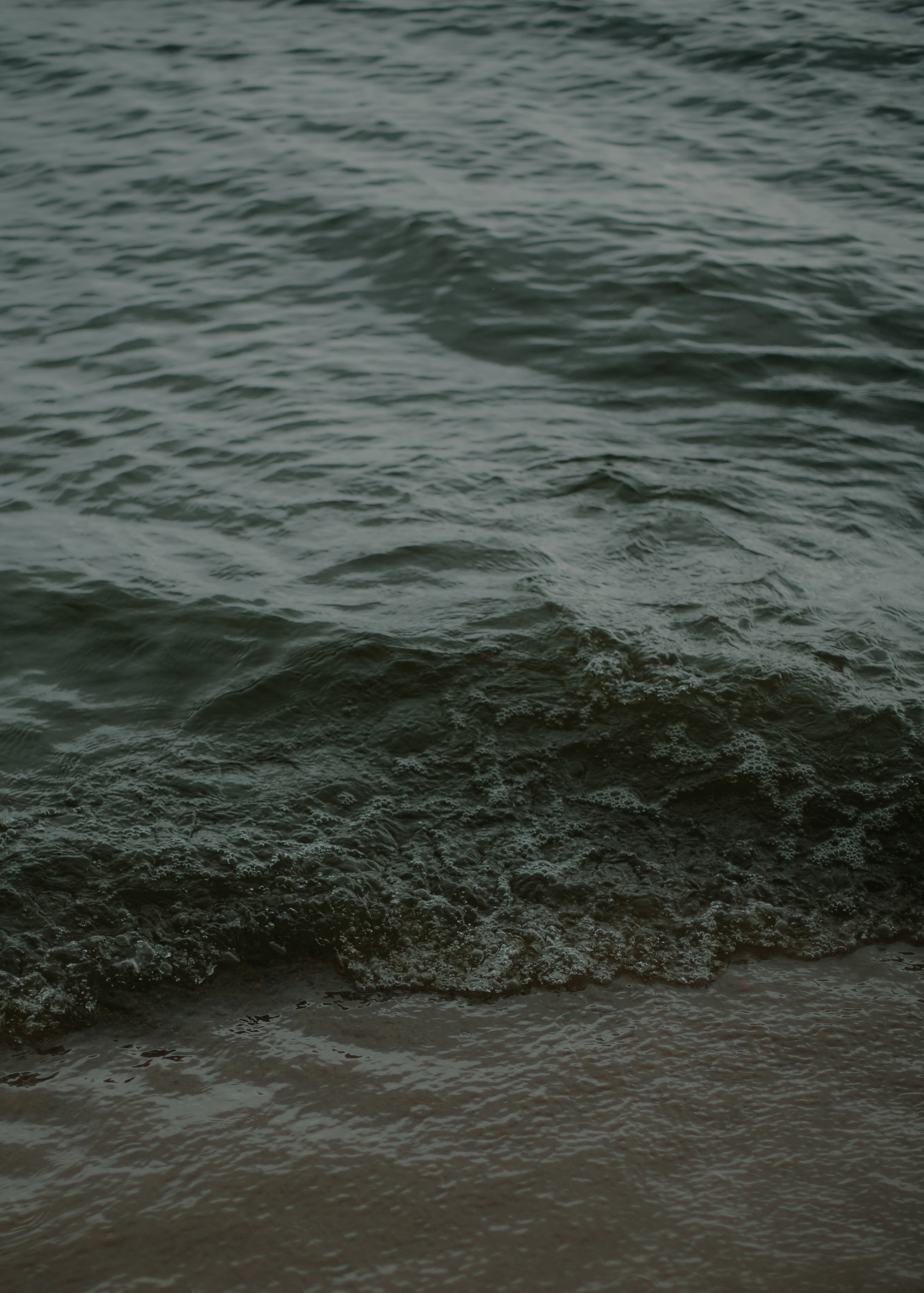 Дарья. Свадебный фотограф Анастасия Сюзанова