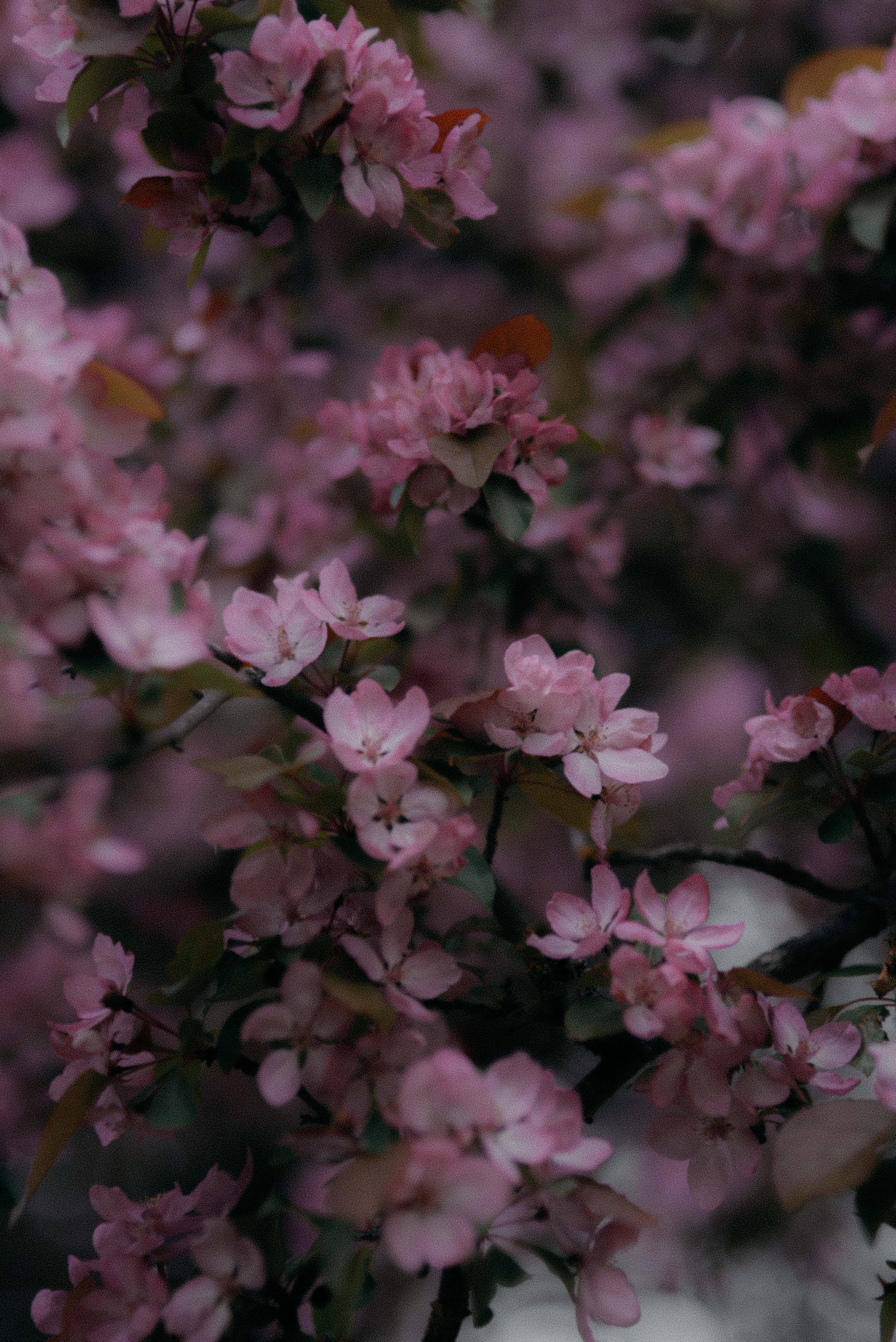 Елизавета. Свадебный фотограф Анастасия Сюзанова