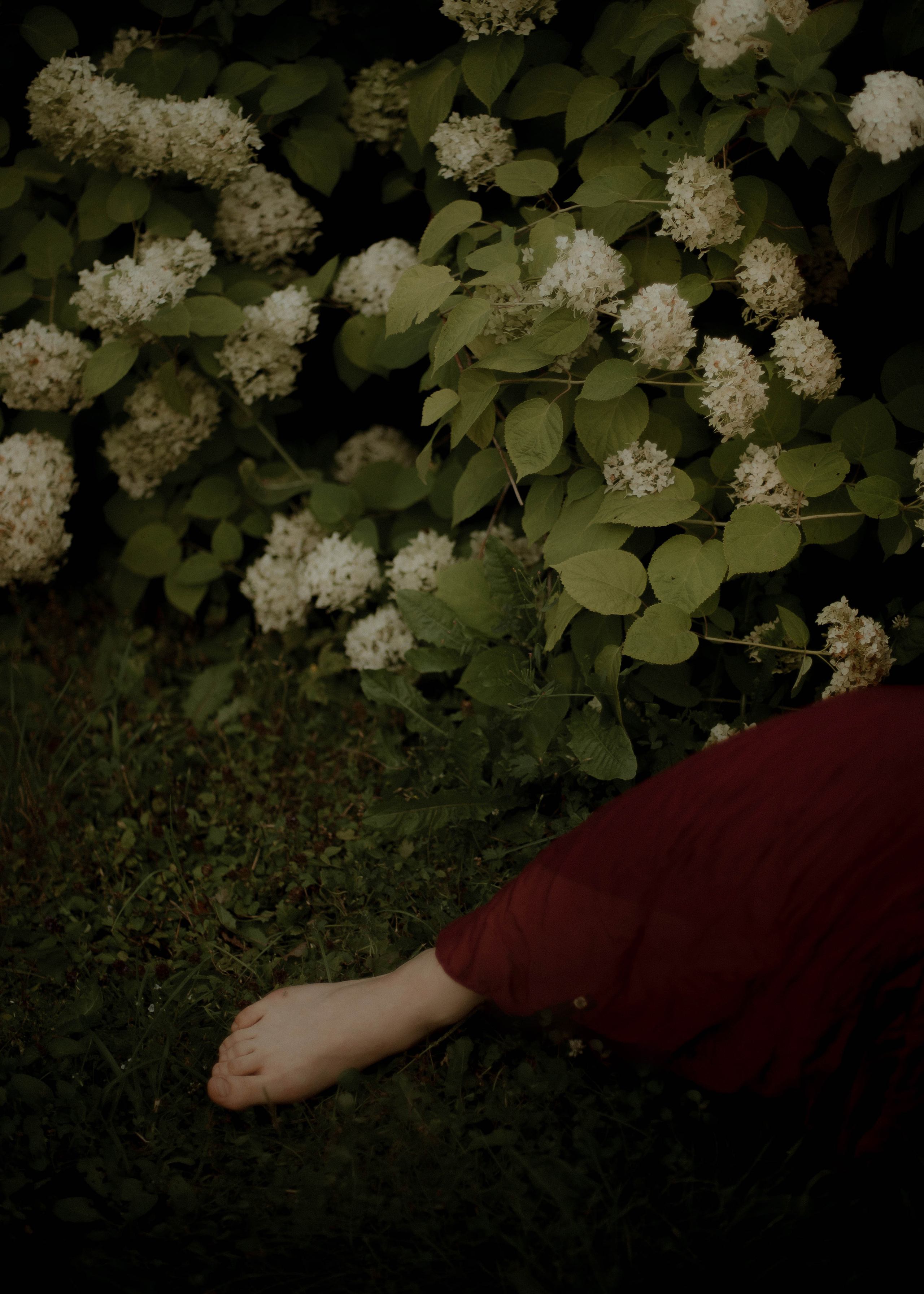 Серафима. Свадебный фотограф Анастасия Сюзанова