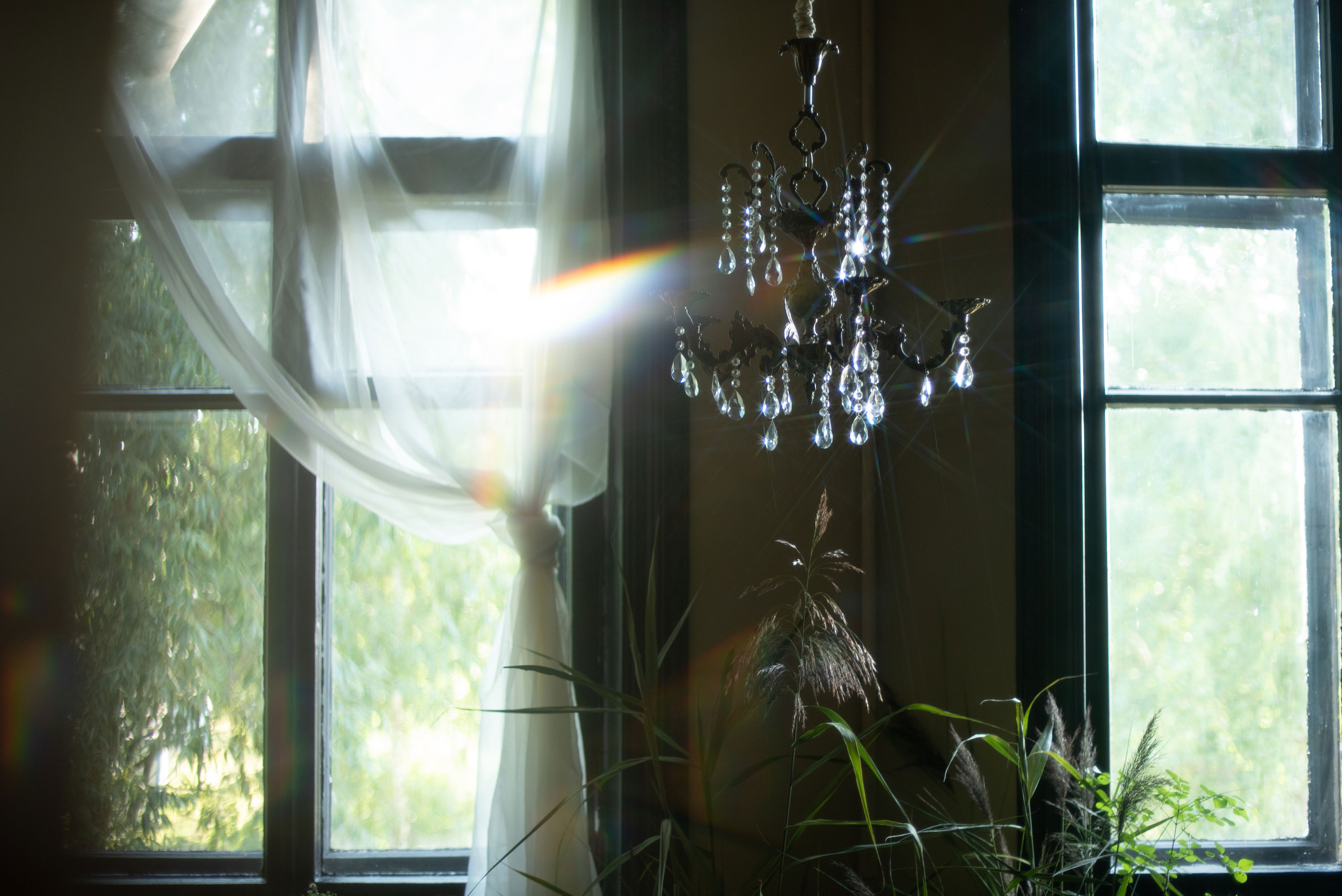 Александра. Свадебный фотограф Анастасия Сюзанова