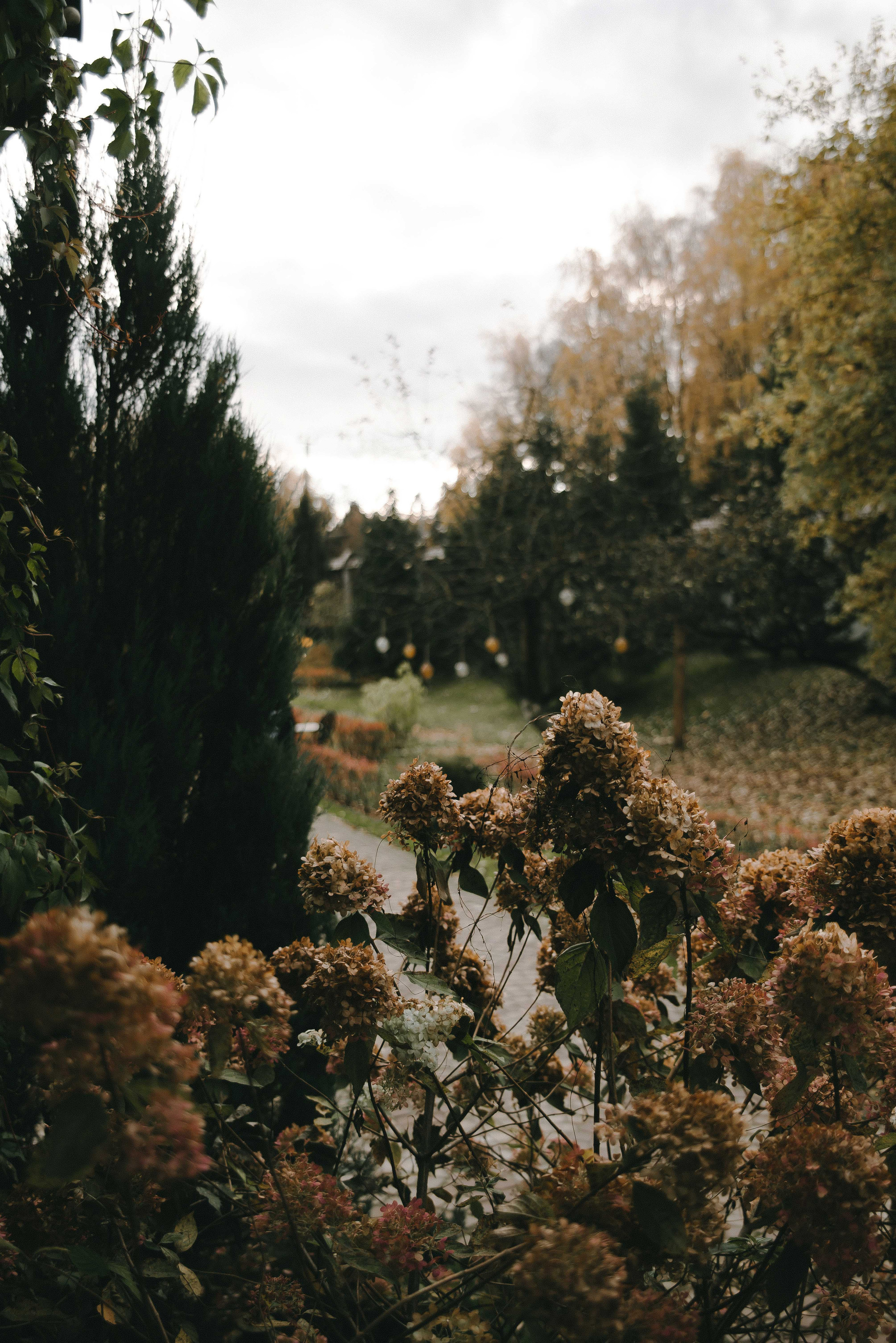 Максим и Виктория. Свадебный фотограф Анастасия Сюзанова