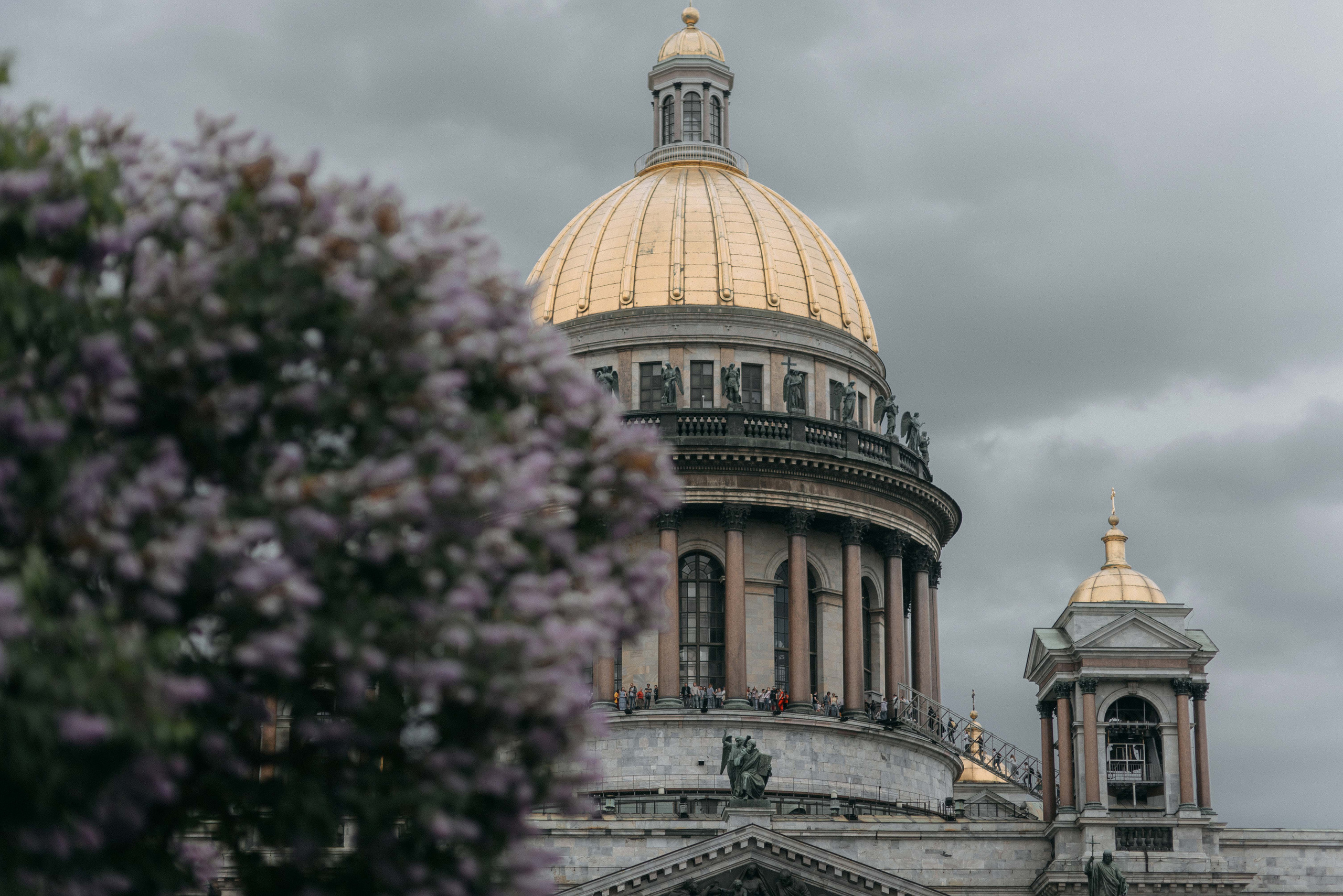 Алексей и Надежда. Свадебный фотограф Анастасия Сюзанова