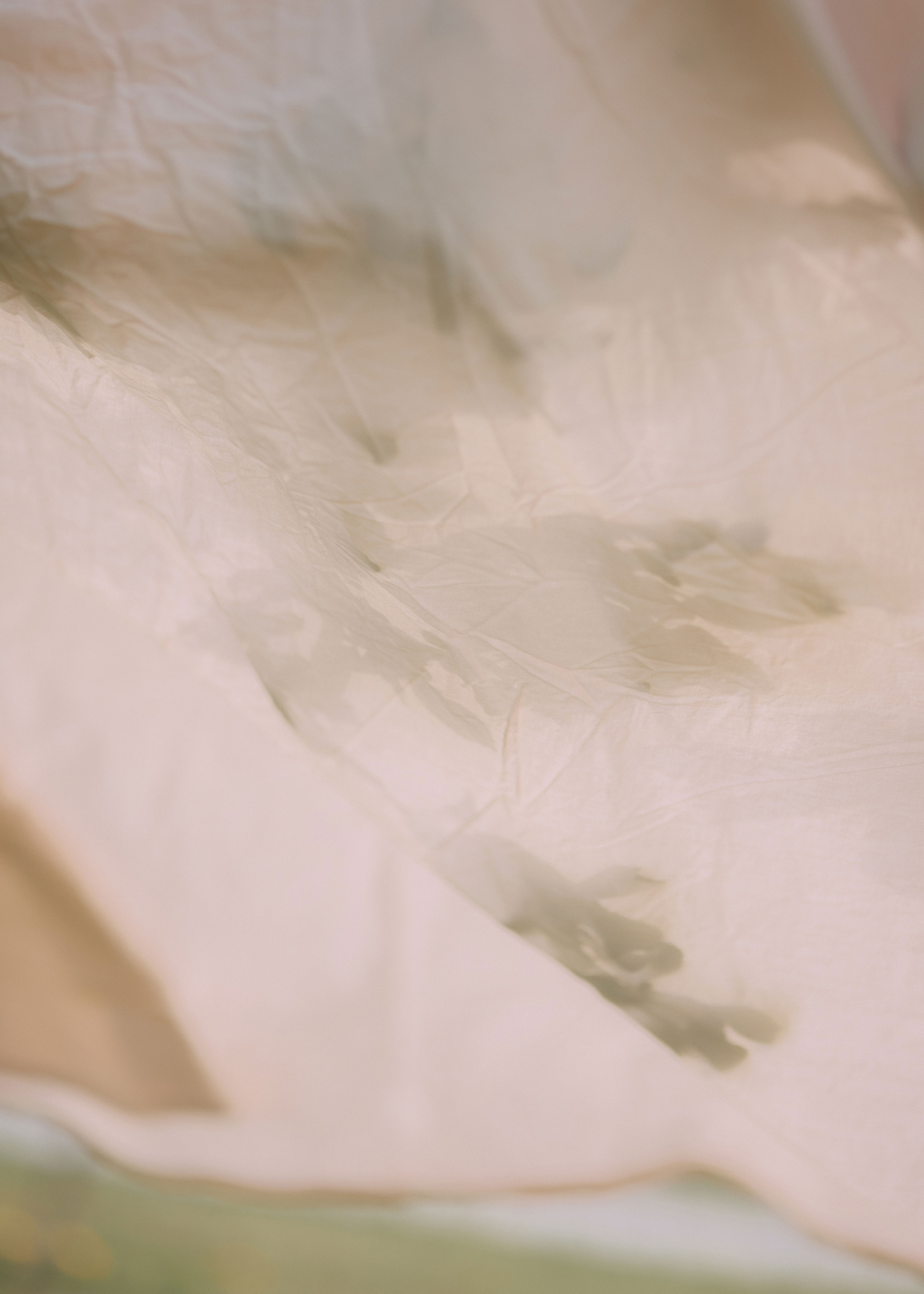 Елизавета. Свадебный фотограф Анастасия Сюзанова