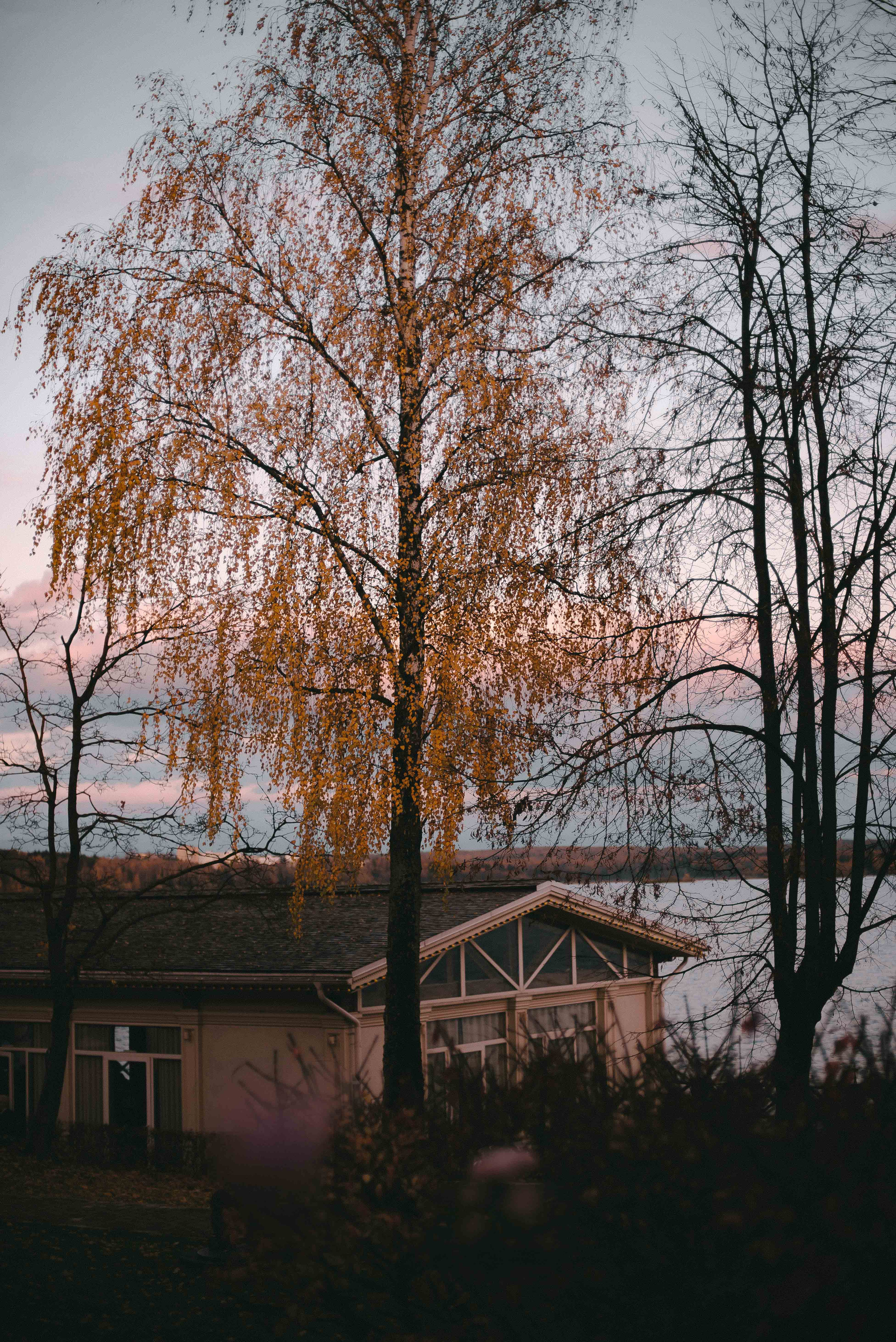 Максим и Виктория. Свадебный фотограф Анастасия Сюзанова