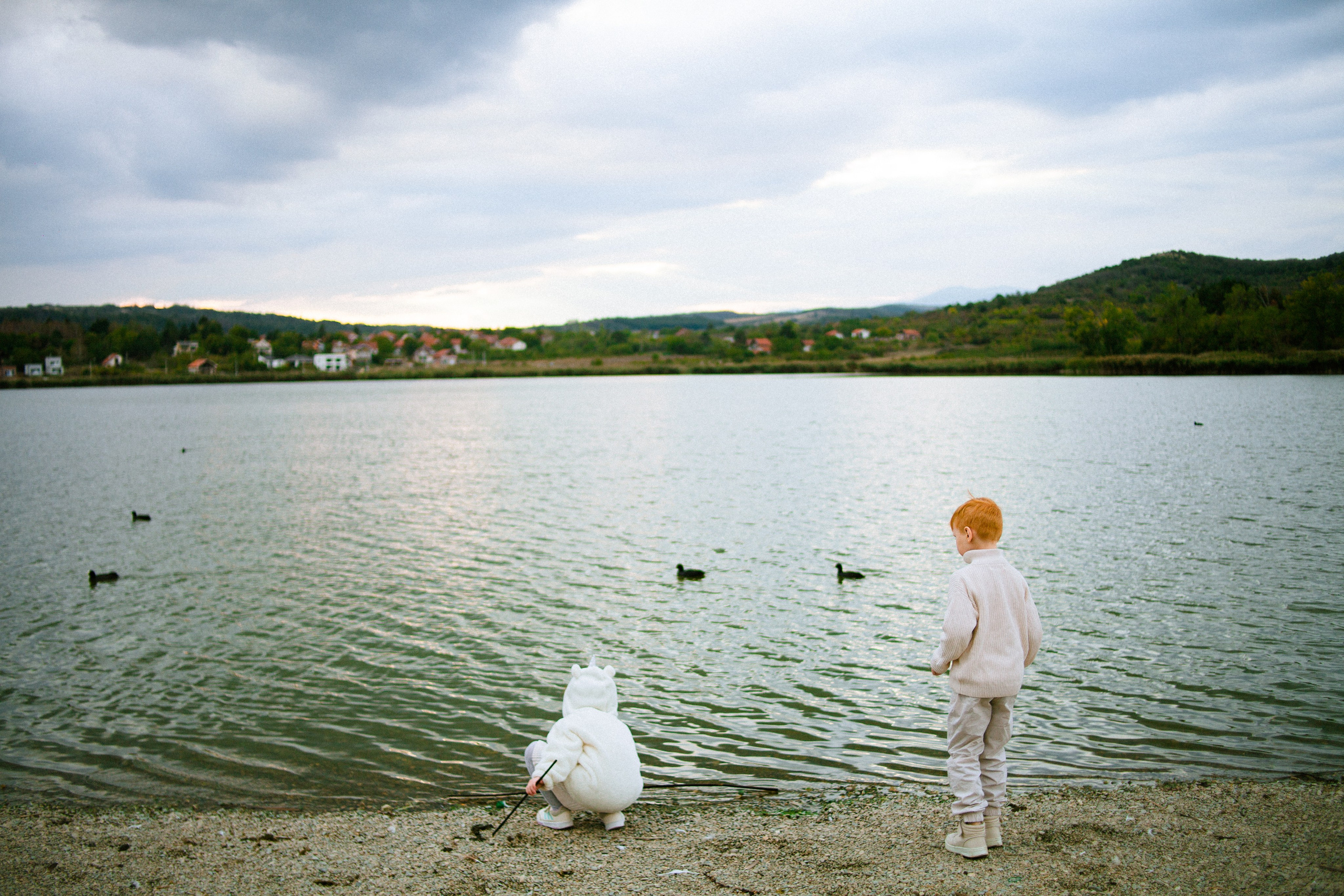 Рыжики. Photographer in Serbia Azaliia Fomina