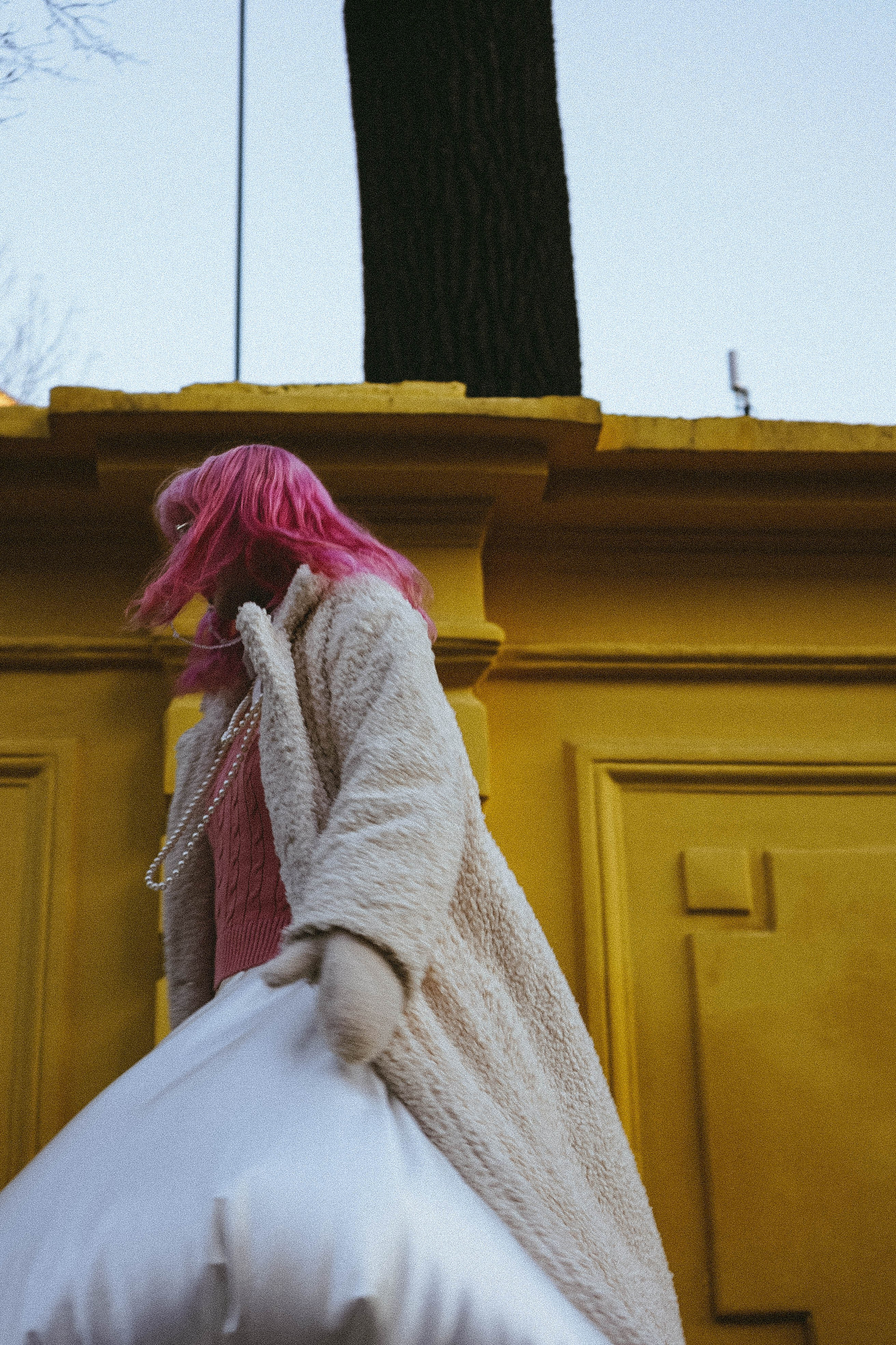 Тюльпаны. Профессиональный фотограф, Санкт-Петербург — Виктория Богомолова