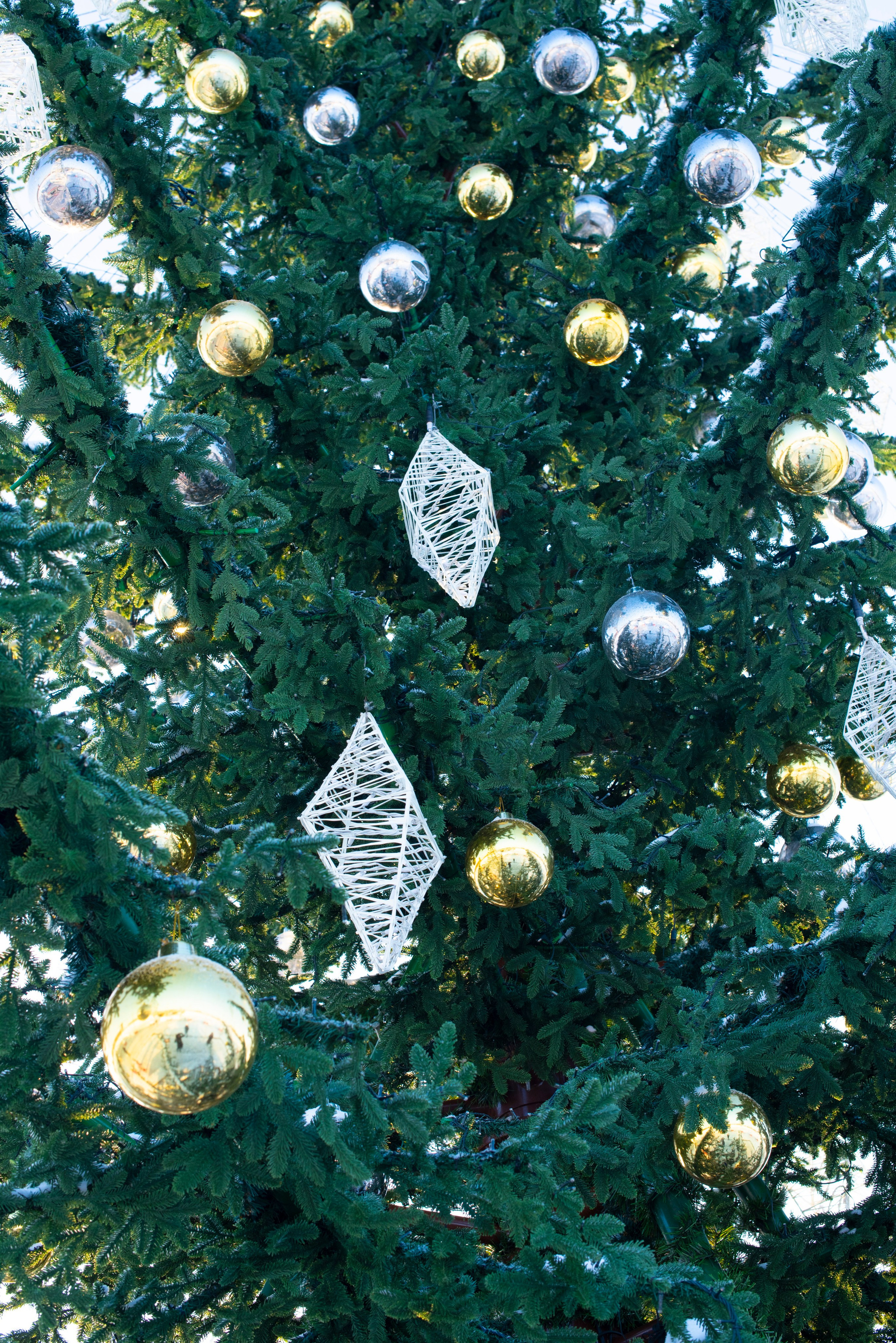 День рождение Вики с участием Чебурашки. Фотограф самых запоминающихся моментов Вашей жизни