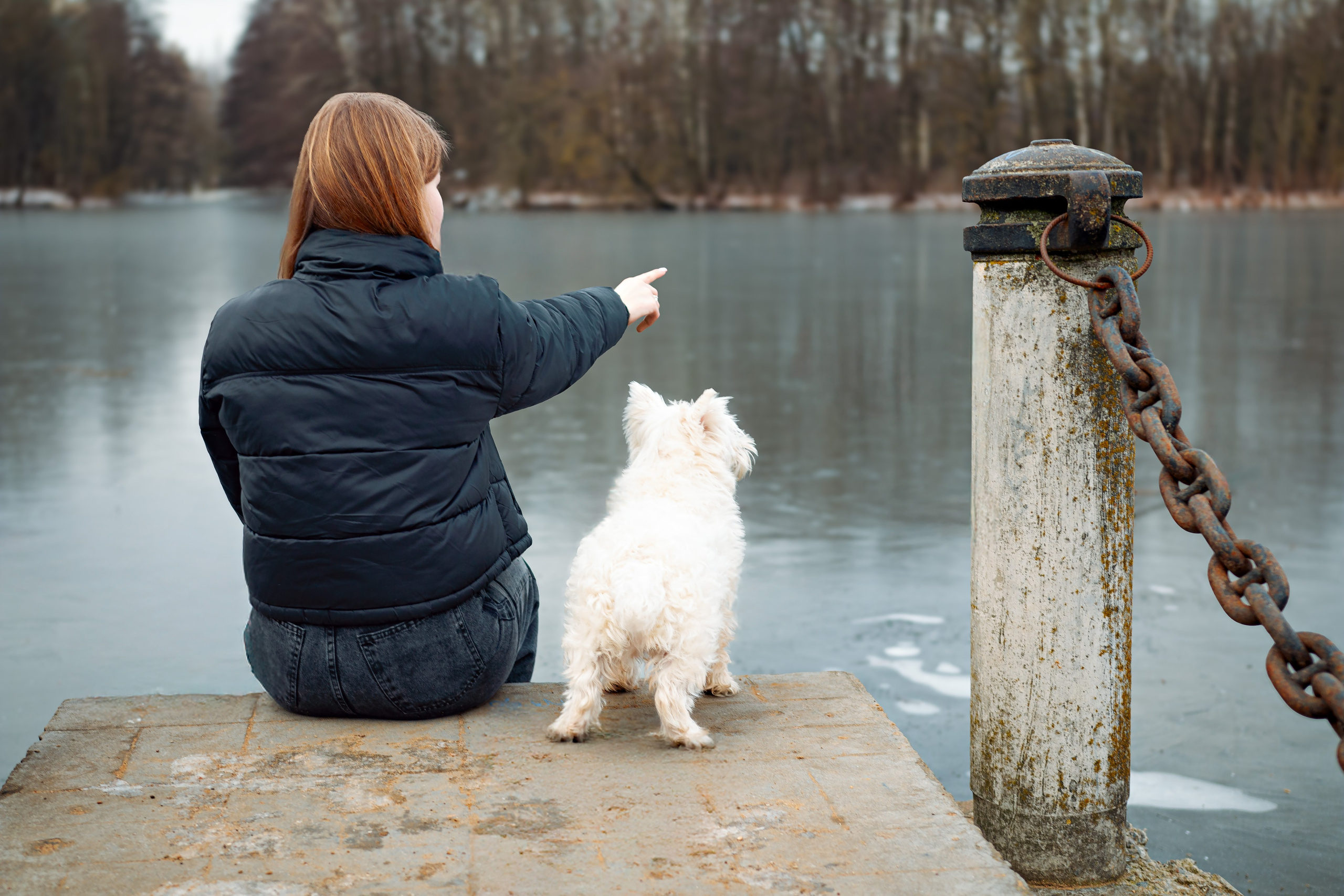 Фотосессия с щенком Минск