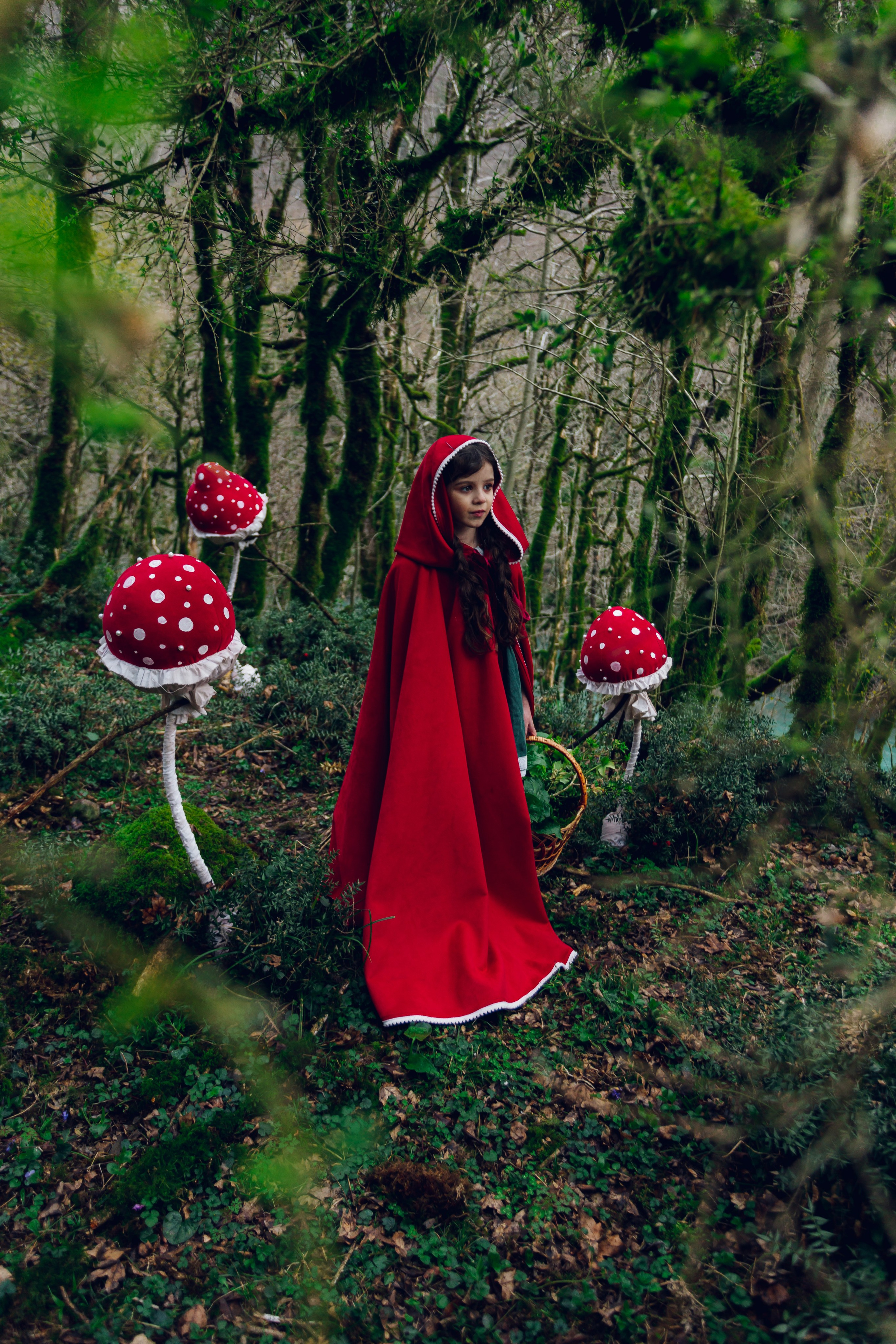 Самшитовая роща. Семейный и художественный фотограф в Тюмени Юлия Логинова