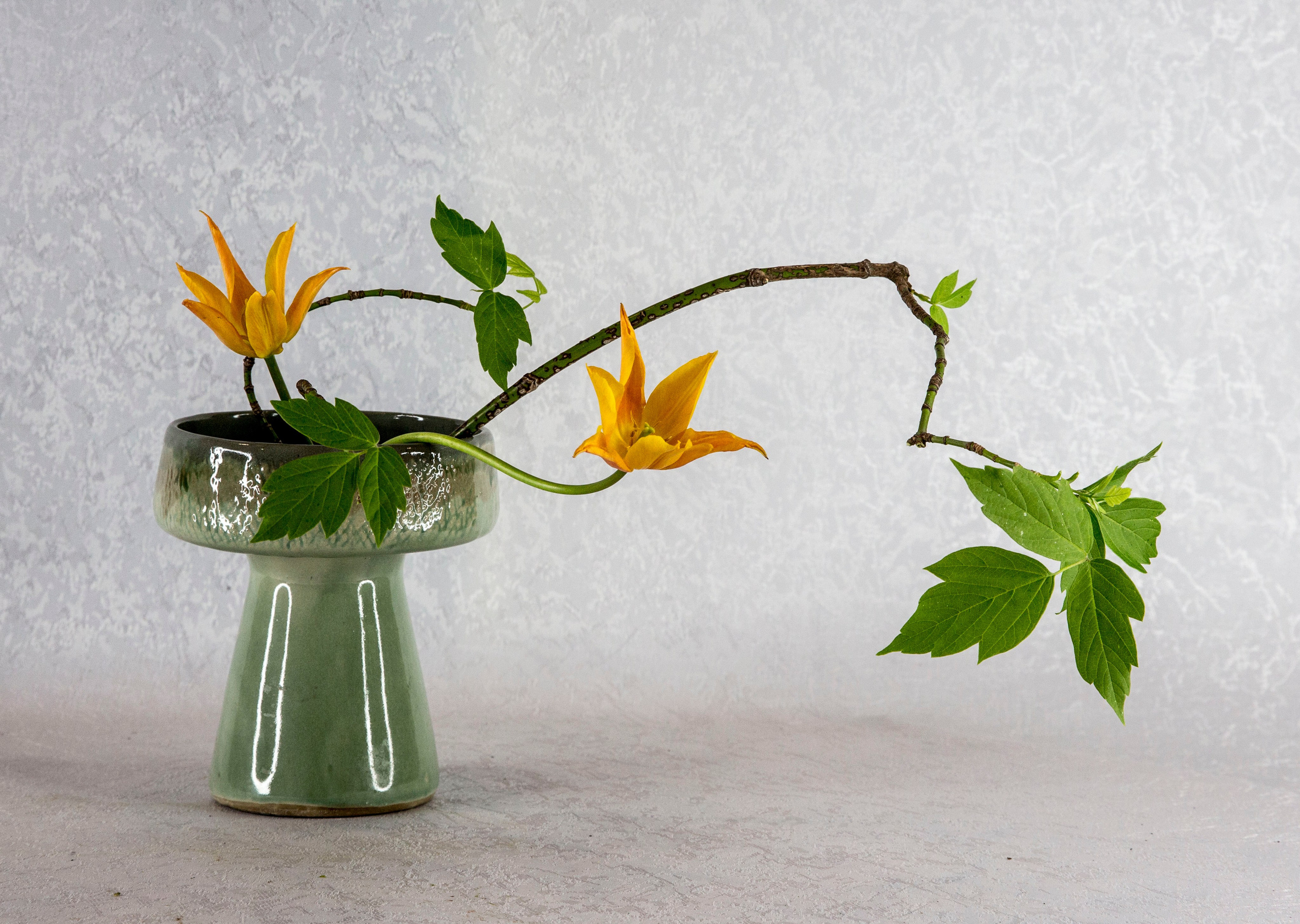 Икэбана Барне. Фотограф Анна Барне