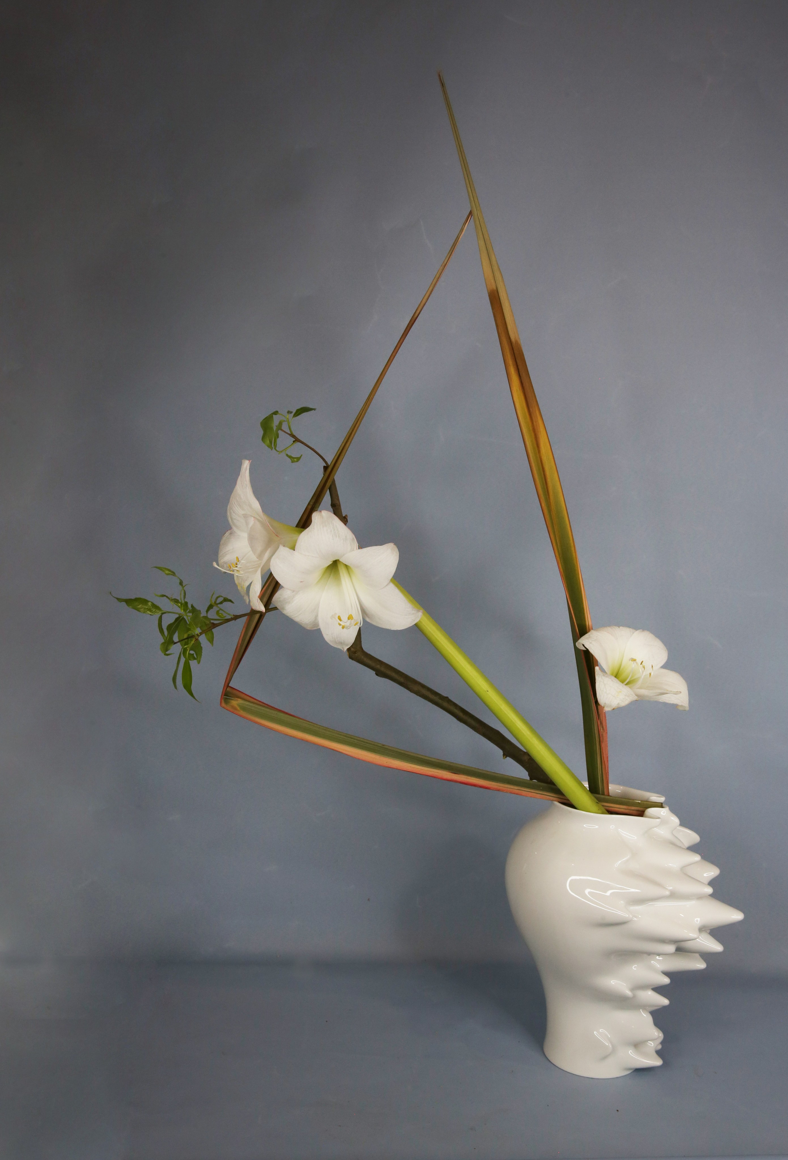 Икебана Барне. Фотограф Анна Барне