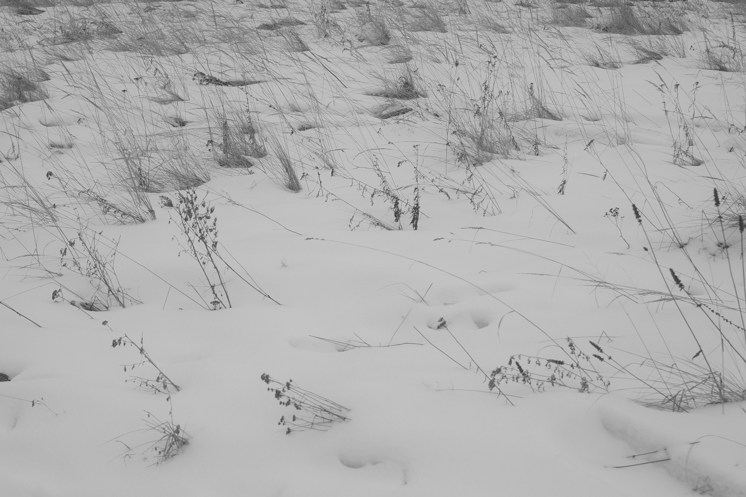 — 2025. Фотограф Злата Спицына