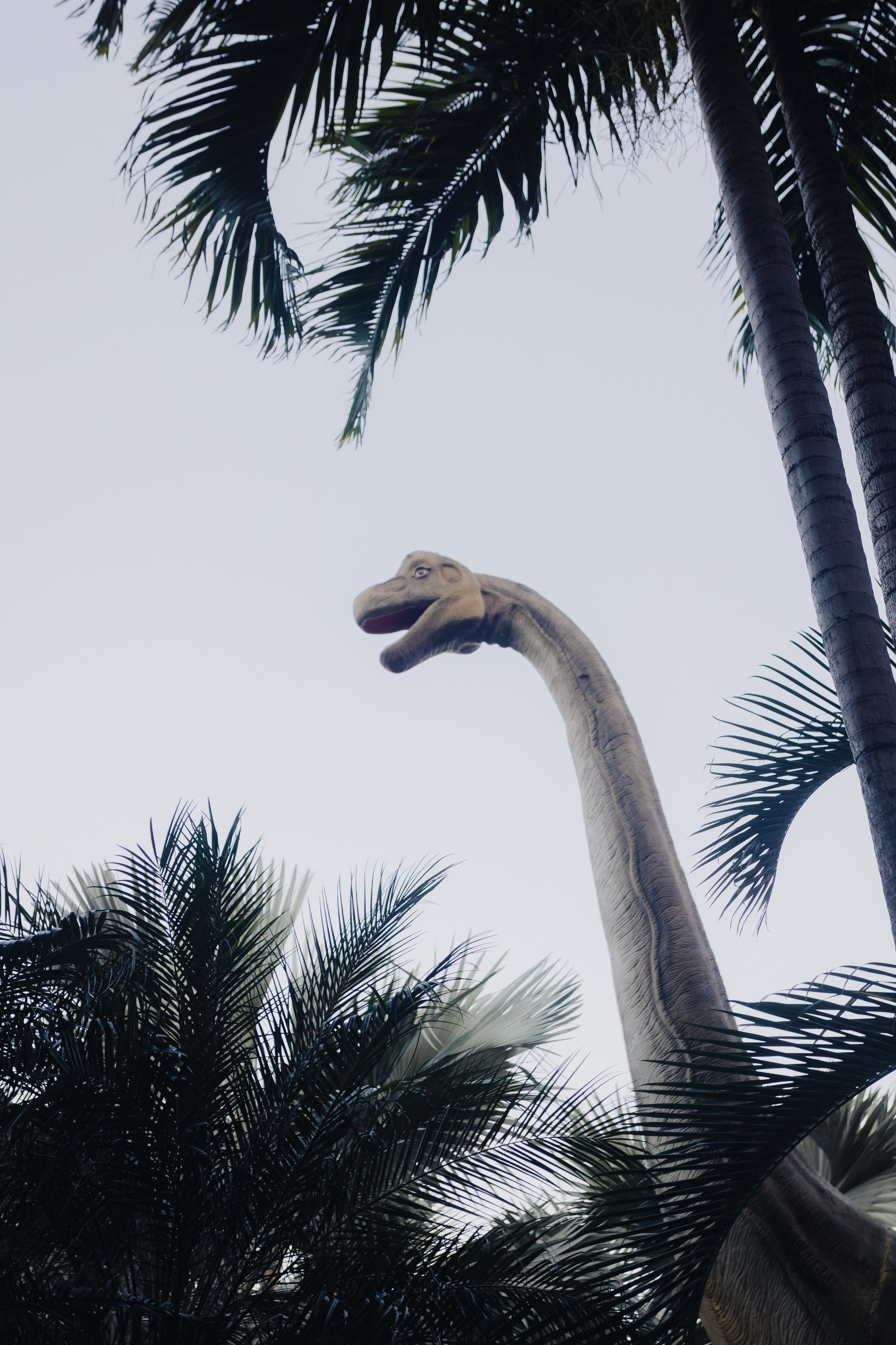 Samut Prakan. Фотограф Сонкина Татьяна