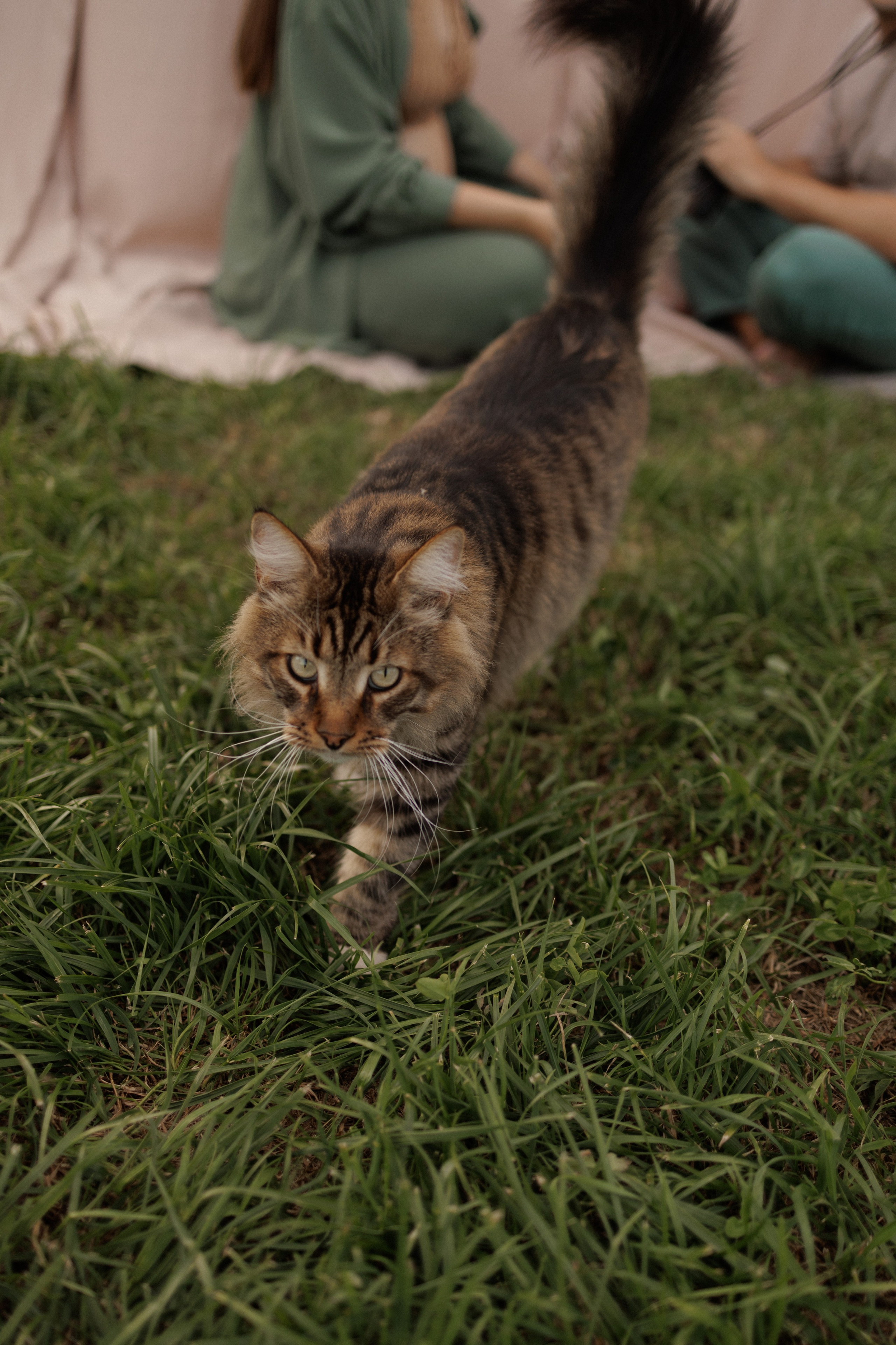На закате одного прекрасного вечера. Фотограф Софья Гречка