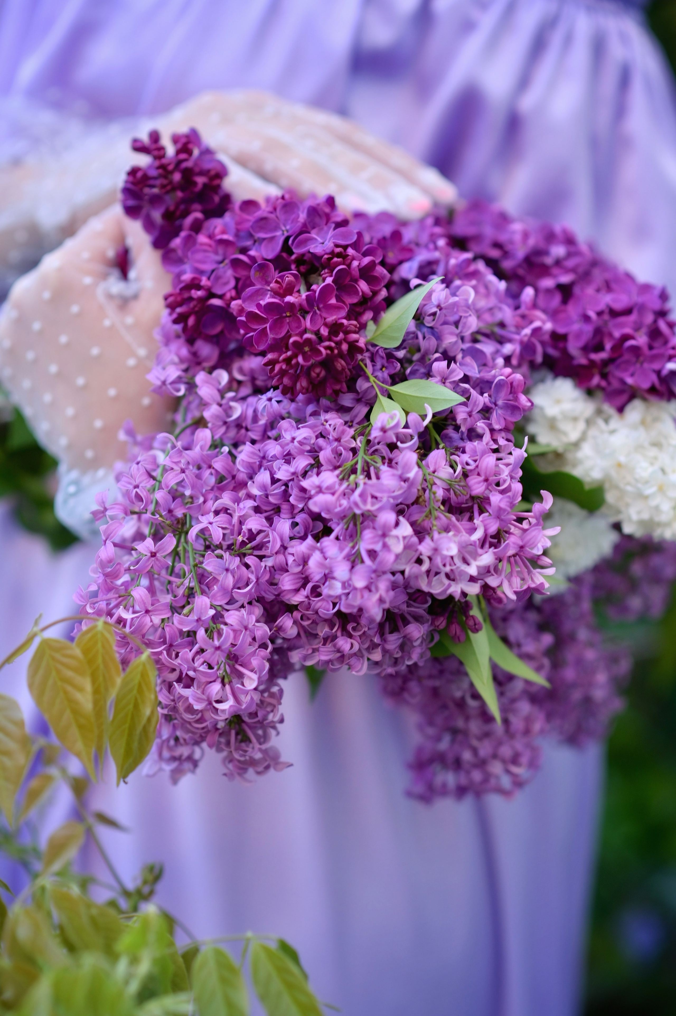 Глициния. Семейный и детский фотограф Анапа