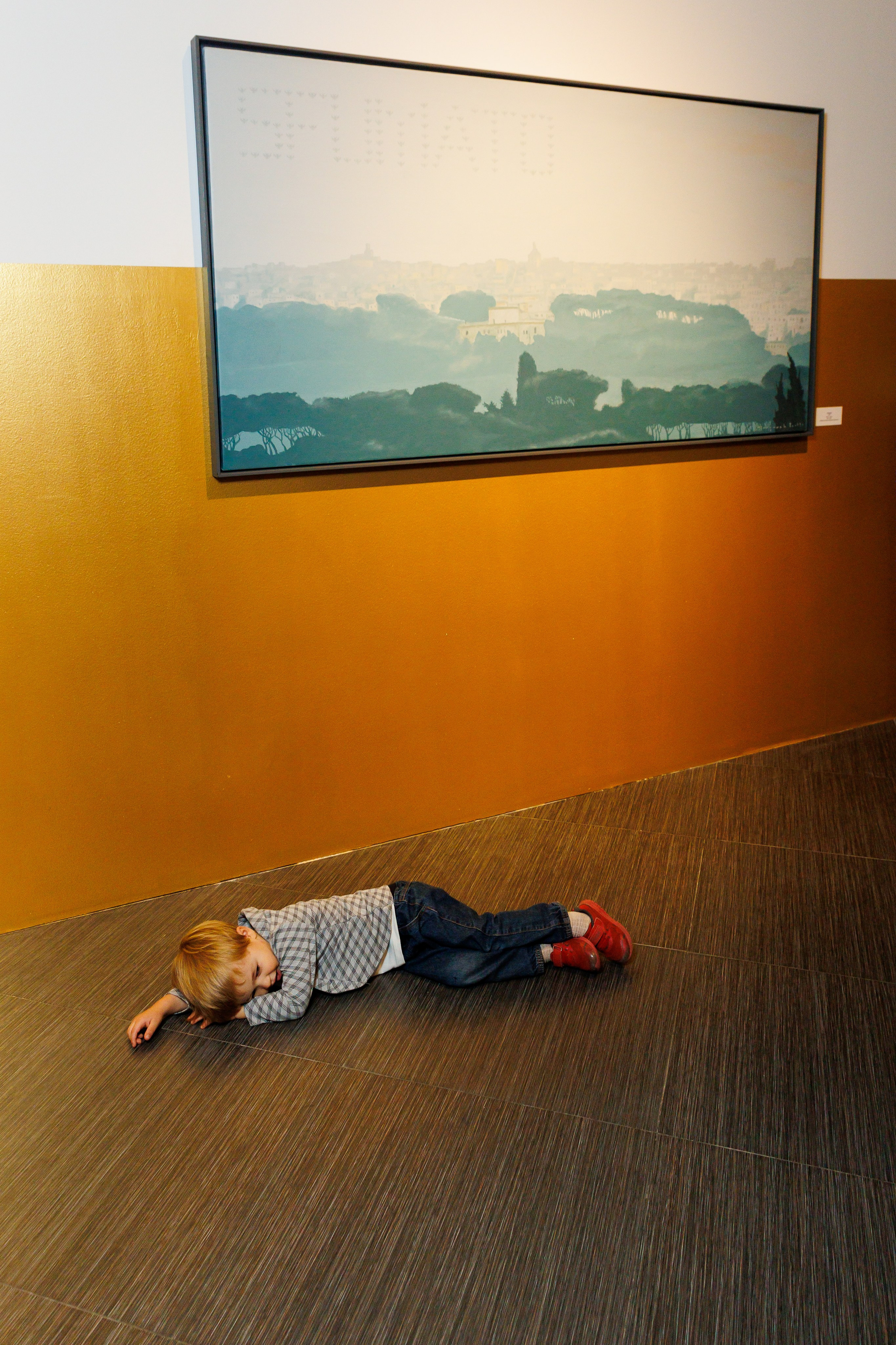 Открытите выставки Небесная География или разбор полетов Андрея Филиппова. Фотограф Иван Недорез