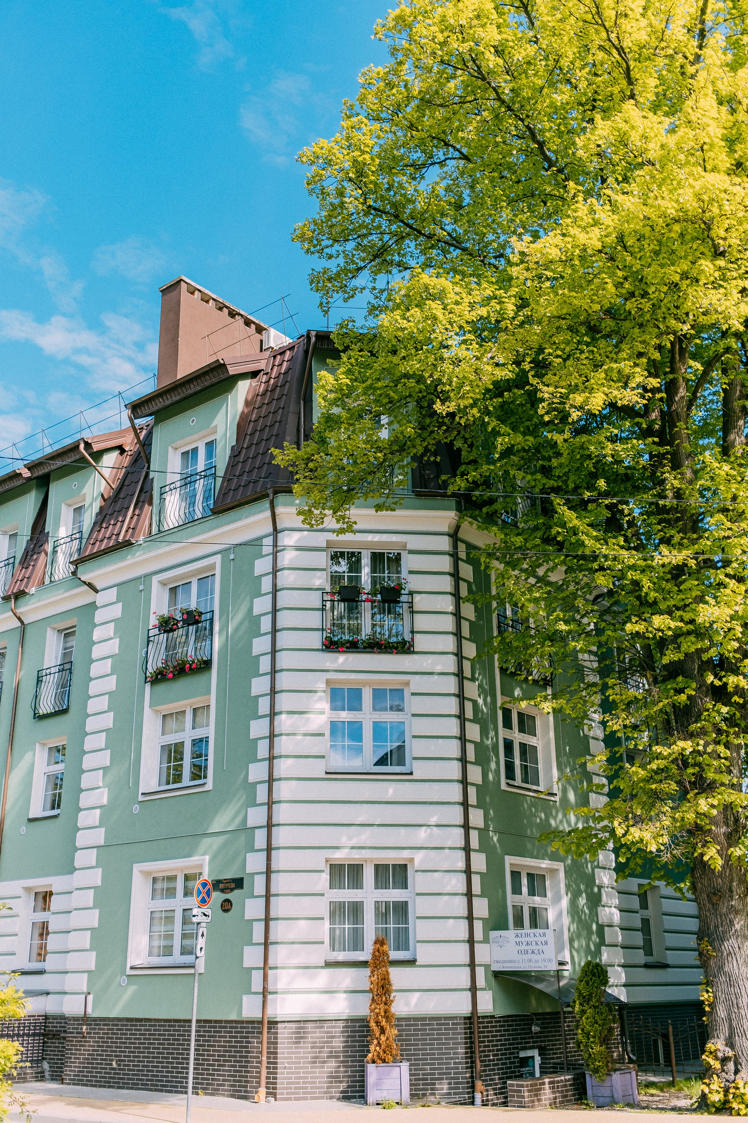 Зеленоградск. Аня Степанова