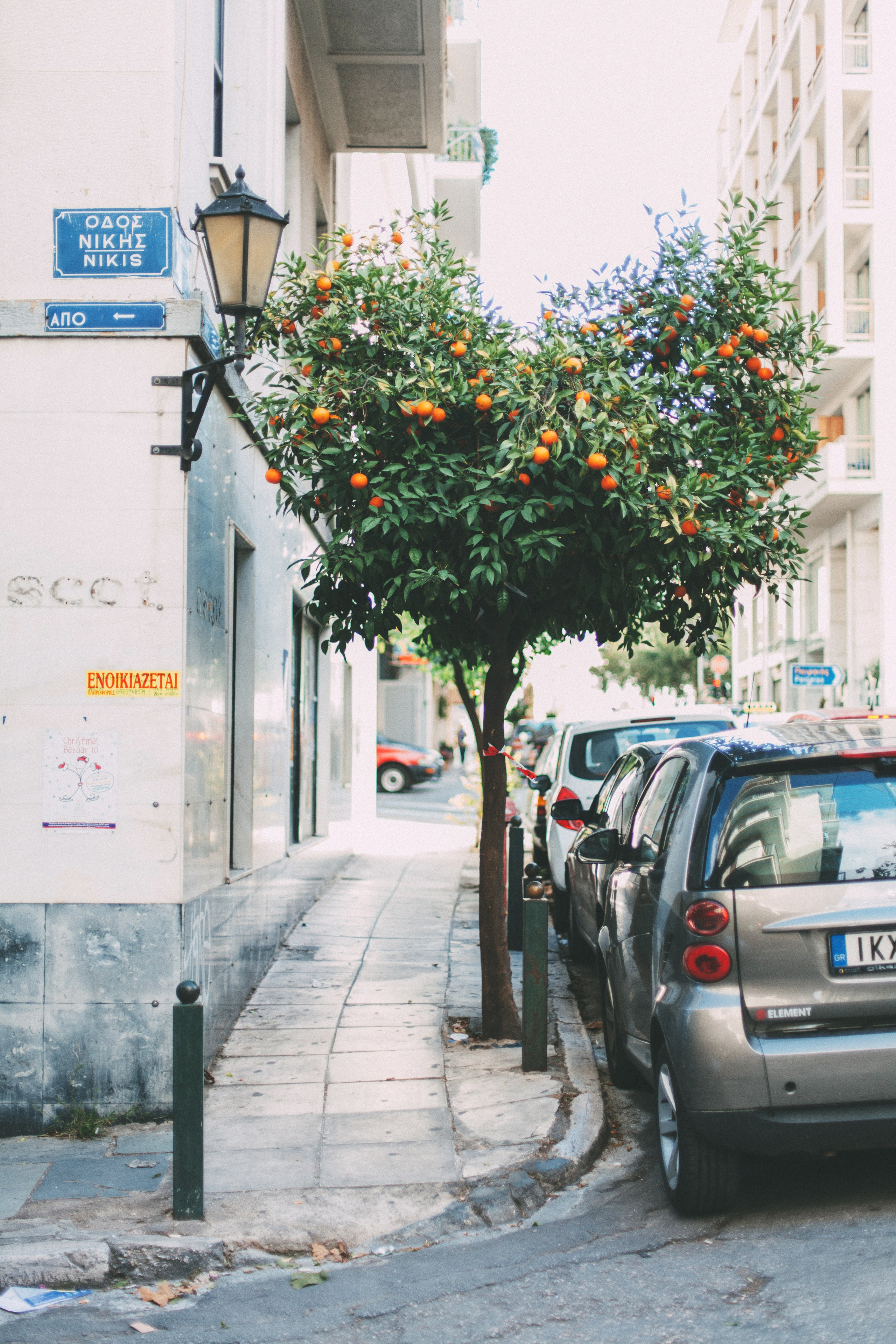 Афины. Аня Степанова