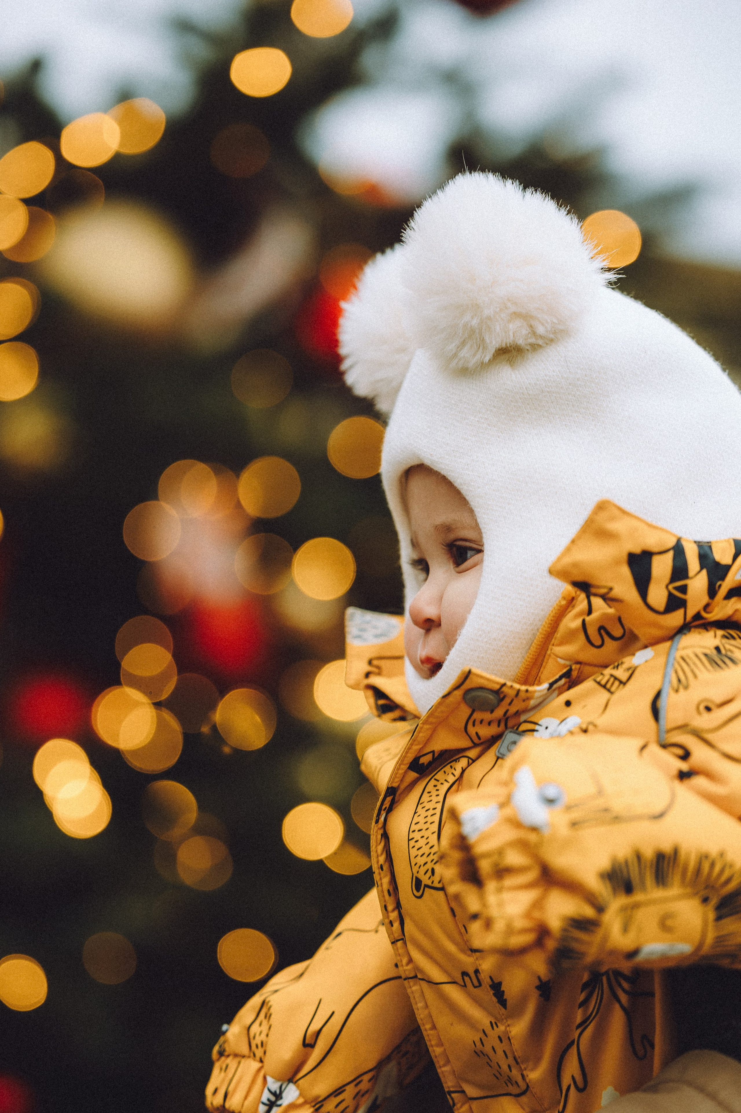 Топик и его семья