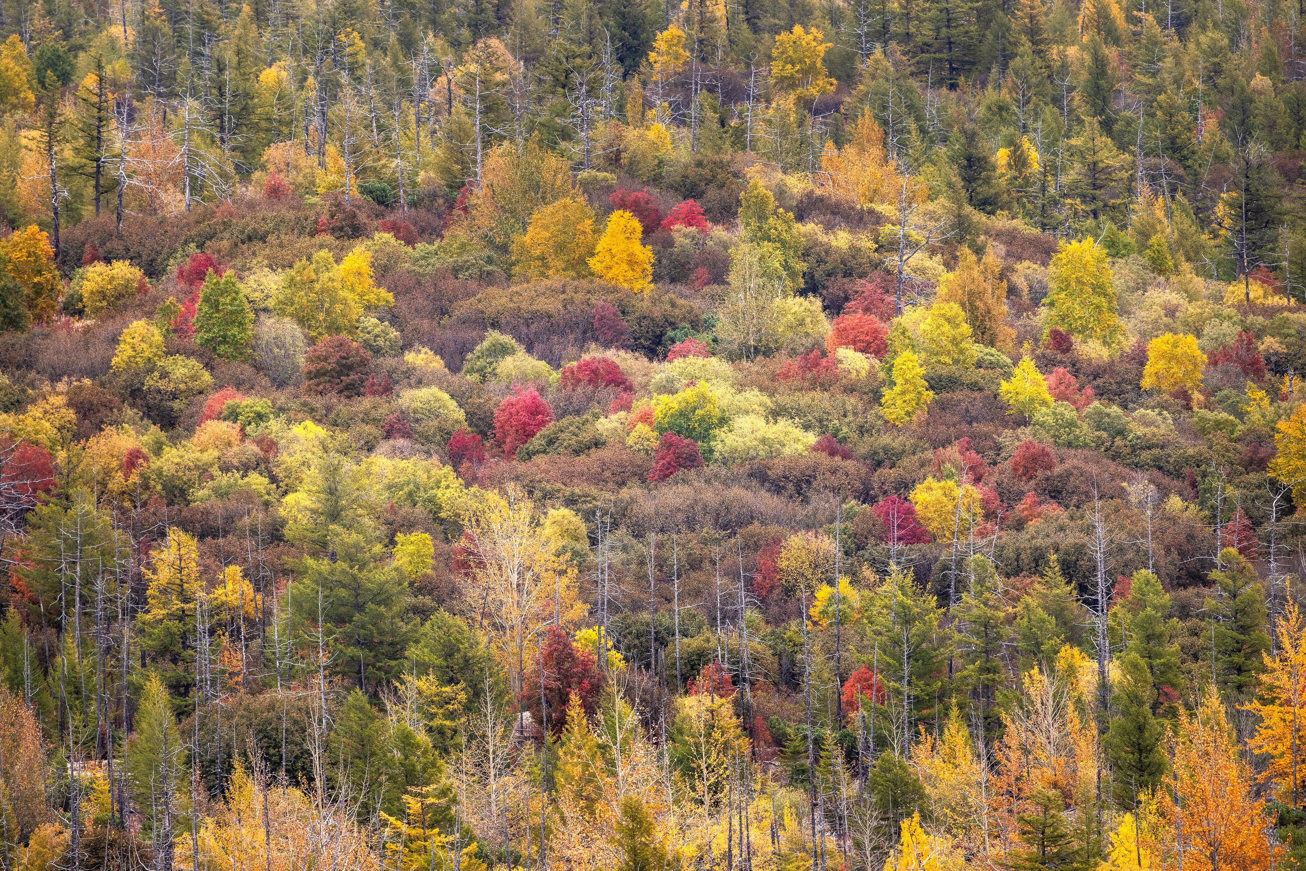 Камчатка | Фотограф Дмитрий Купрацевич. Дмитрий Купрацевич профессиональный пейзажный и travel-фотограф