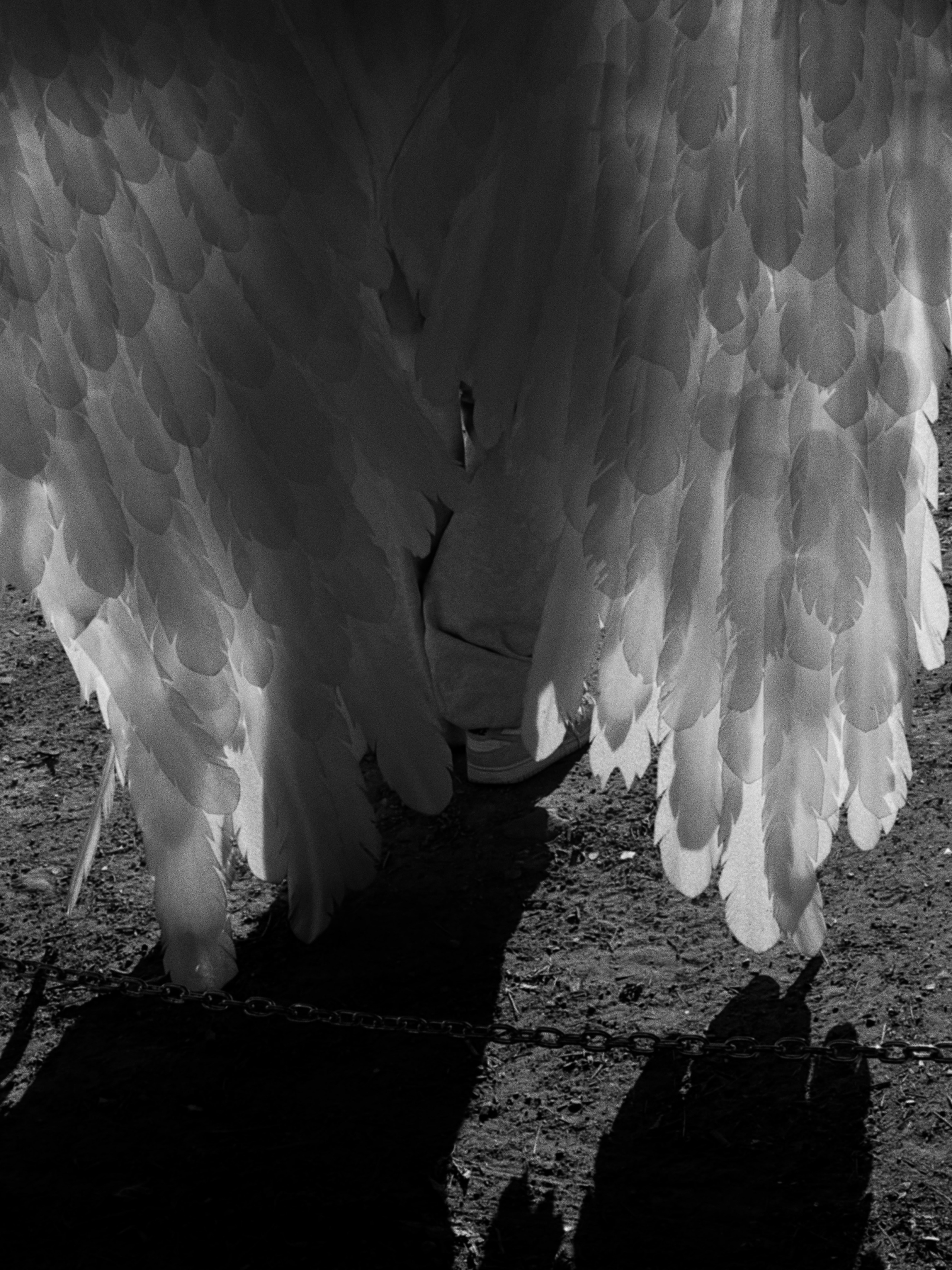 Уличная съемка. Сайт фотографа в Саратове