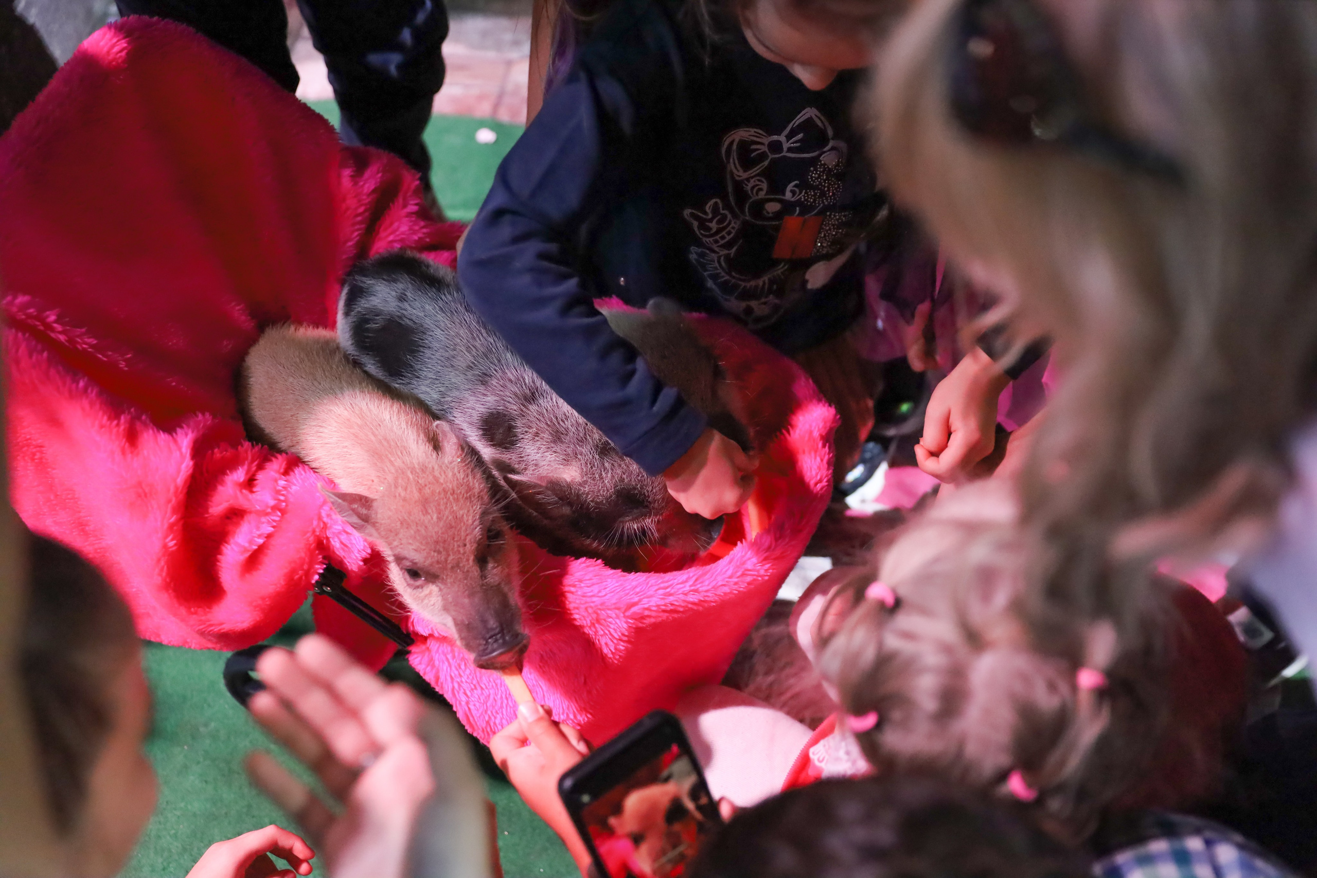 ДЕНЬ РОЖДЕНИЯ ЕВЫ В КРБ. Фотограф мероприятий Ирина Каширина