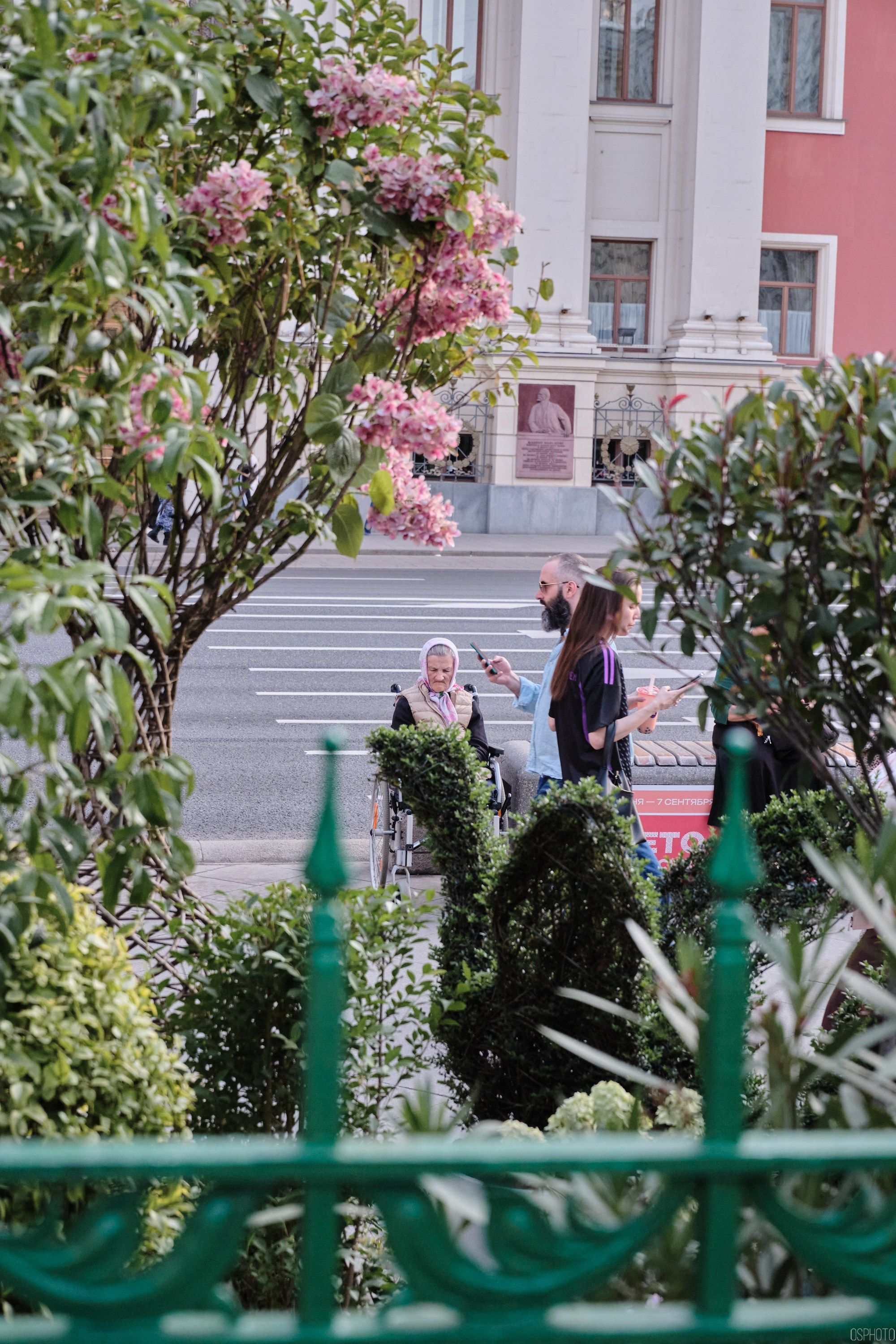 Бульвары для всех l Лето в Москве. Фотографъ Сергѣевъ. Поймать мгновеніе