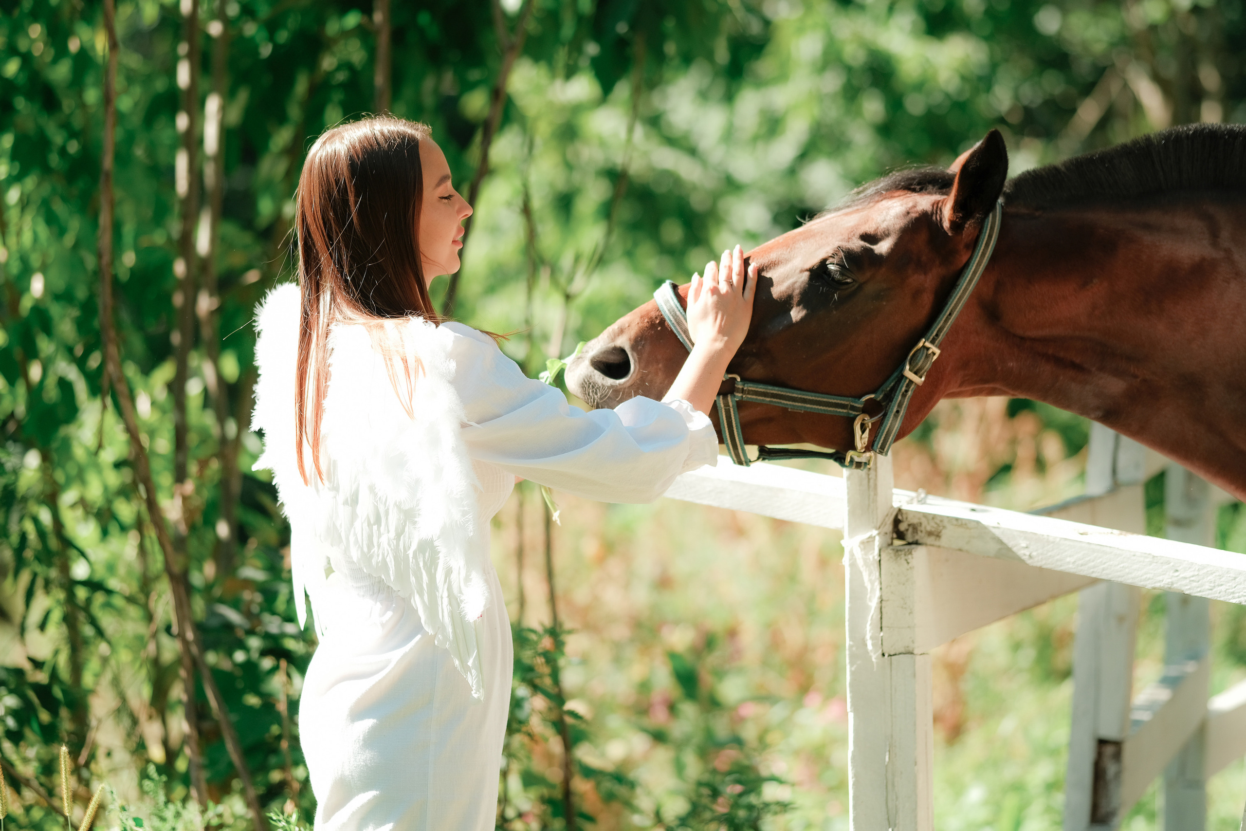 Like An Angel. Aleksandr Schafft