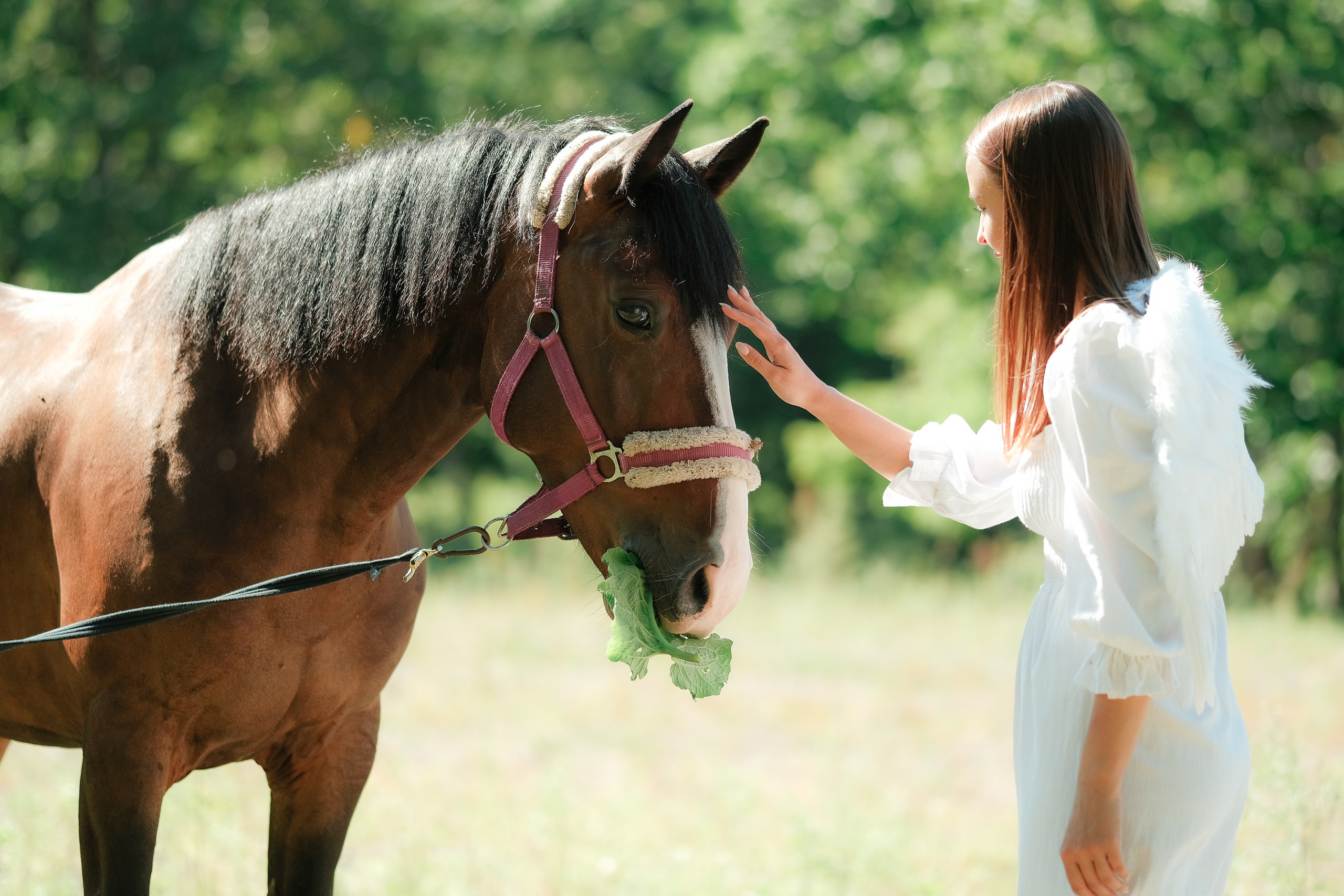Like An Angel. Aleksandr Schafft