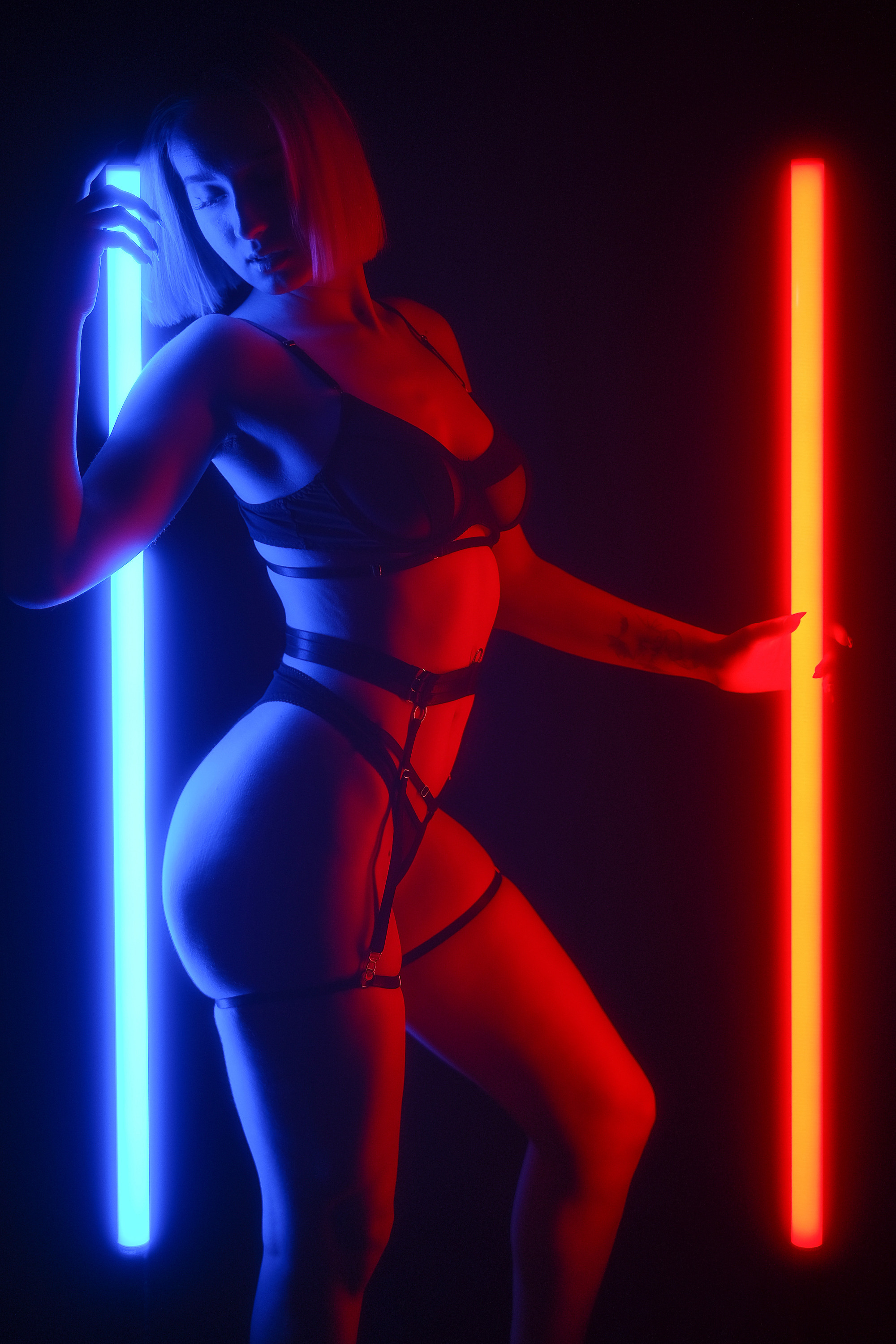 Illuminations. Aleksandr Schafft