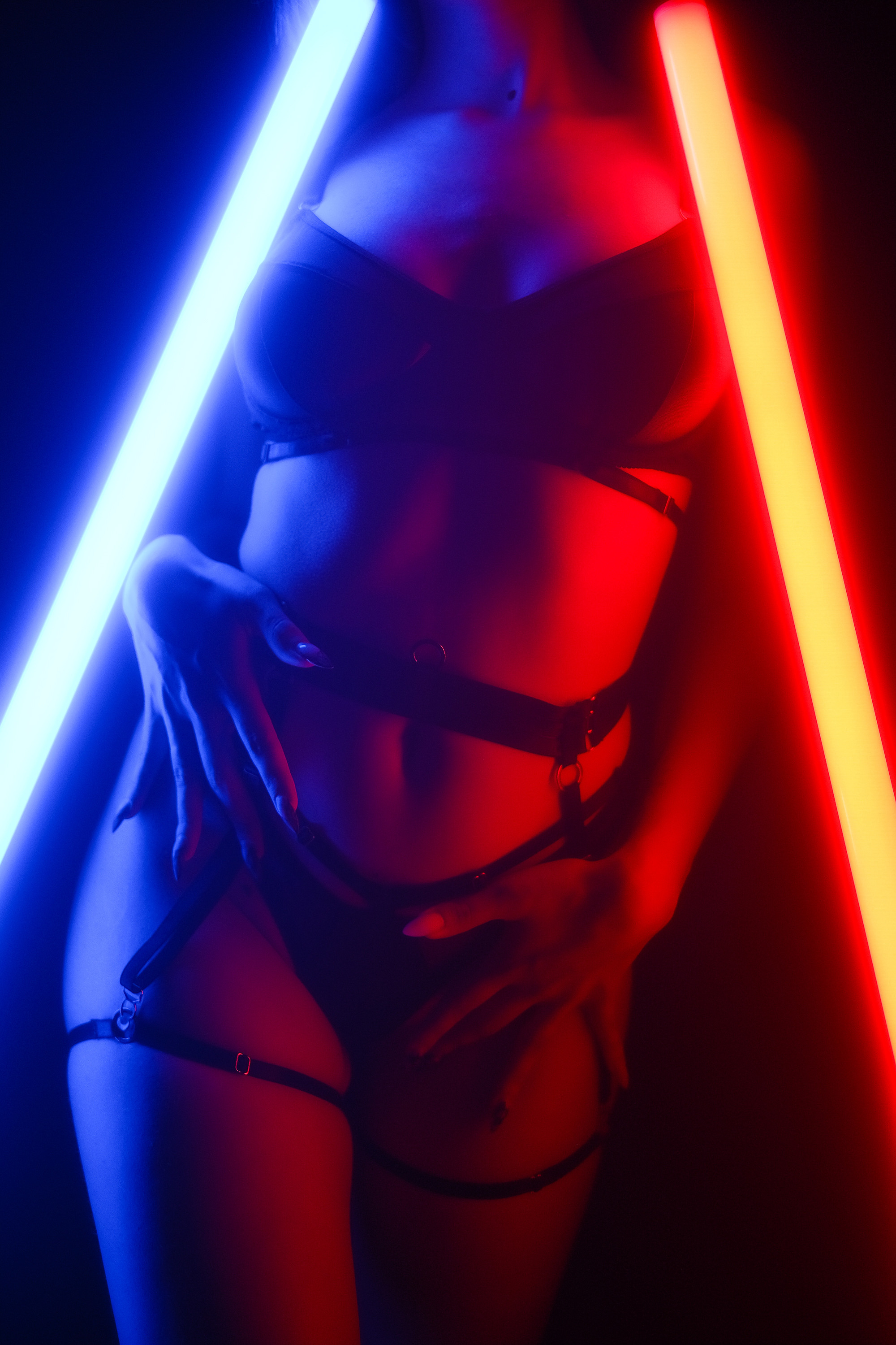 Illuminations. Aleksandr Schafft