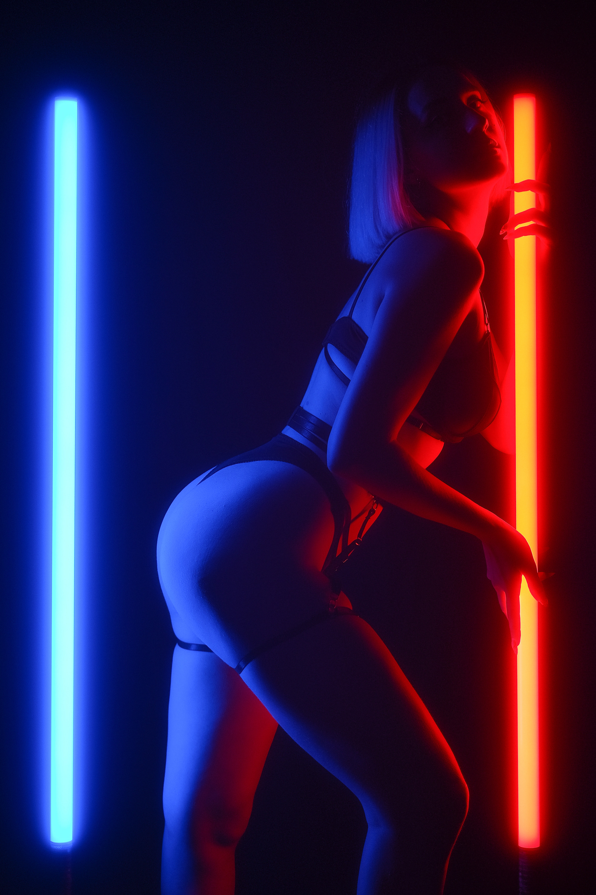 Illuminations. Aleksandr Schafft