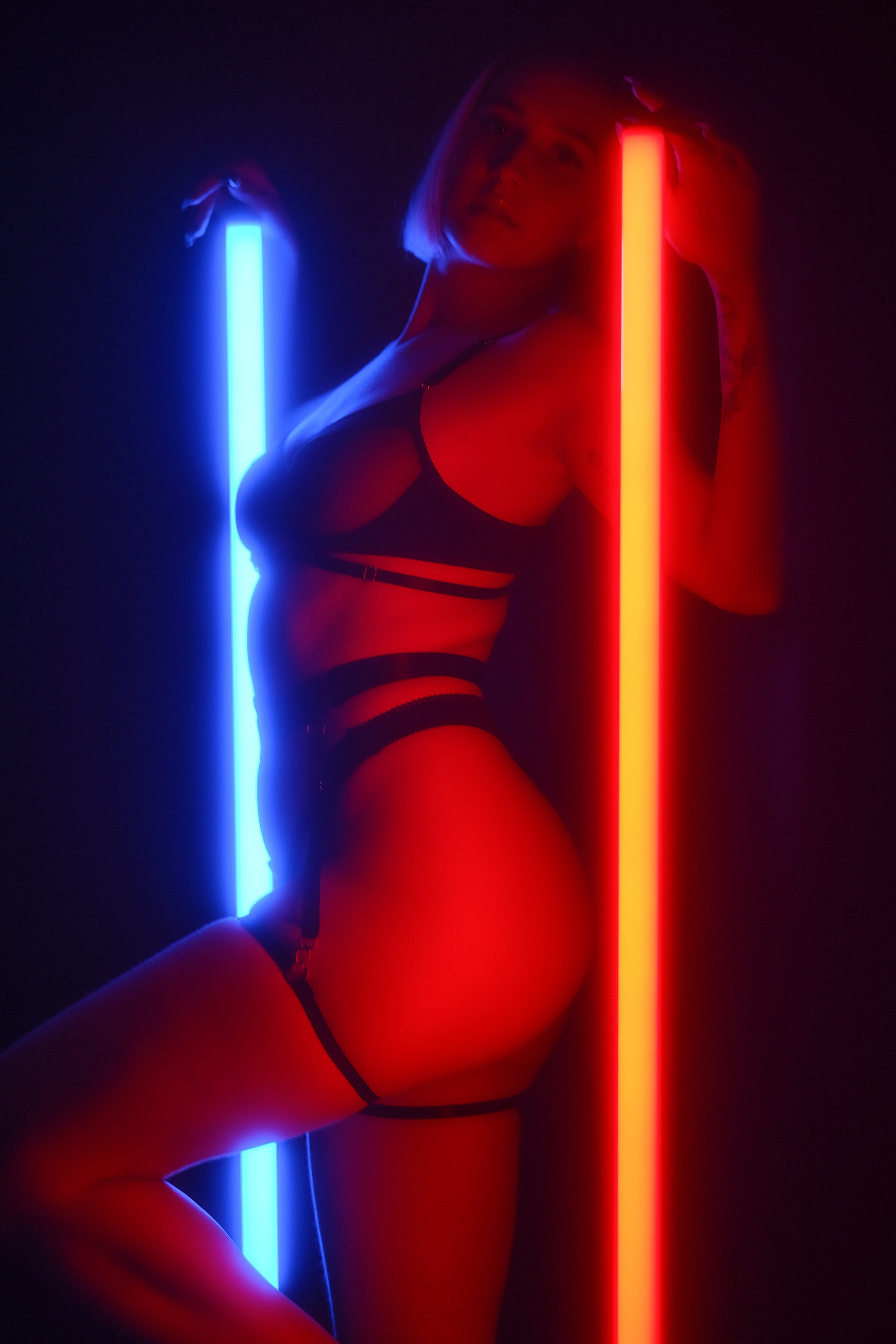 Illuminations. Aleksandr Schafft