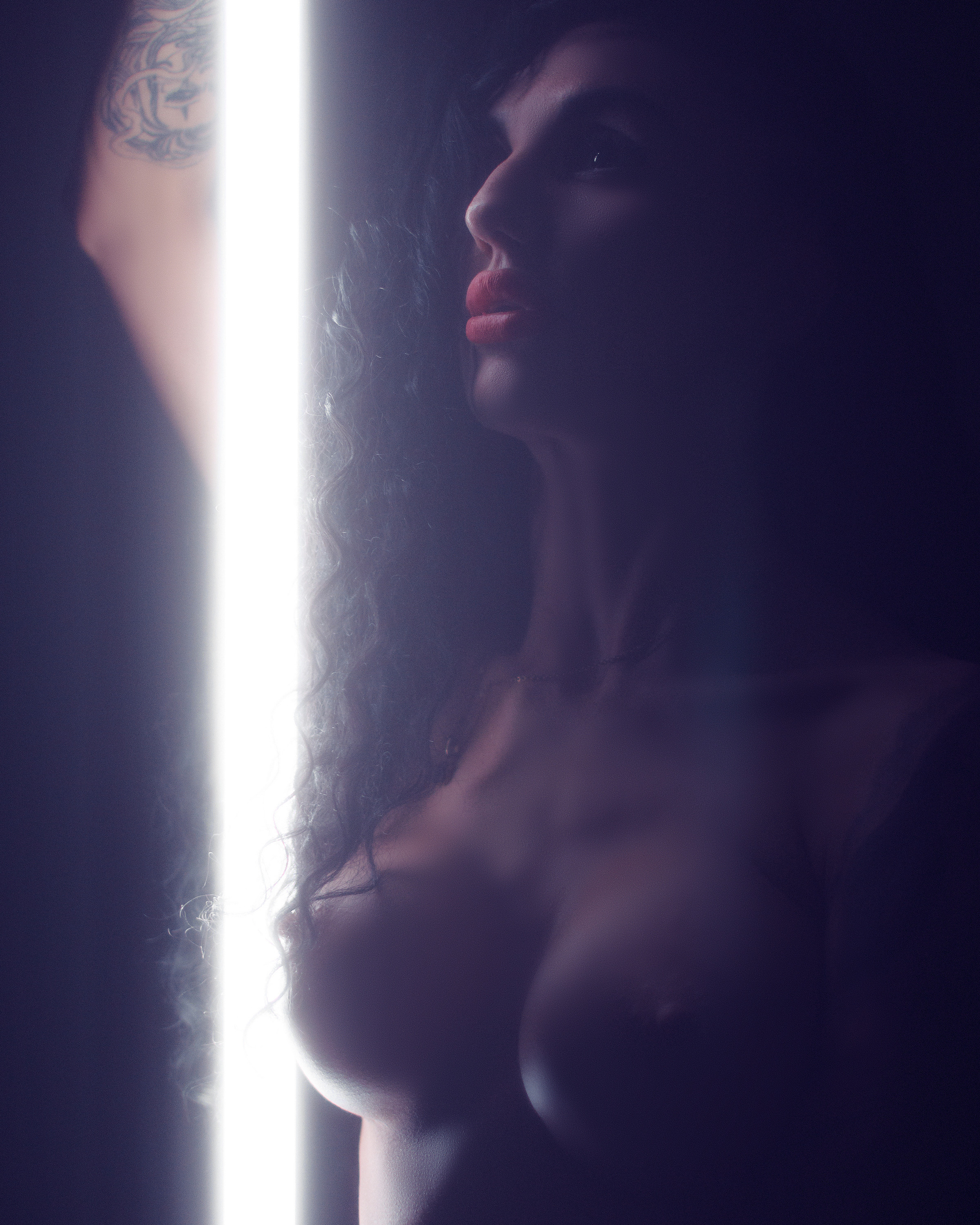 Dark light. Aleksandr Schafft