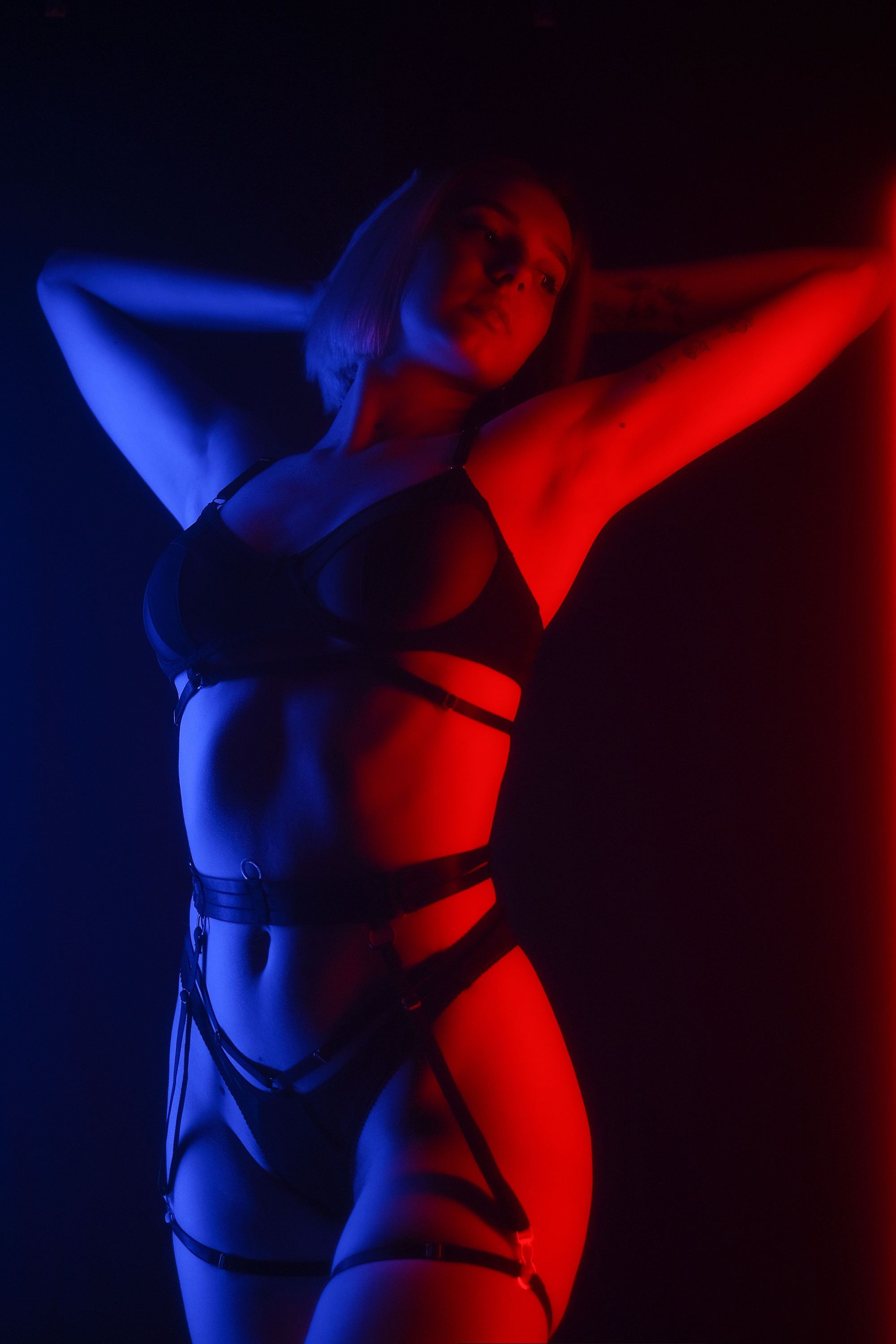 Illuminations. Aleksandr Schafft