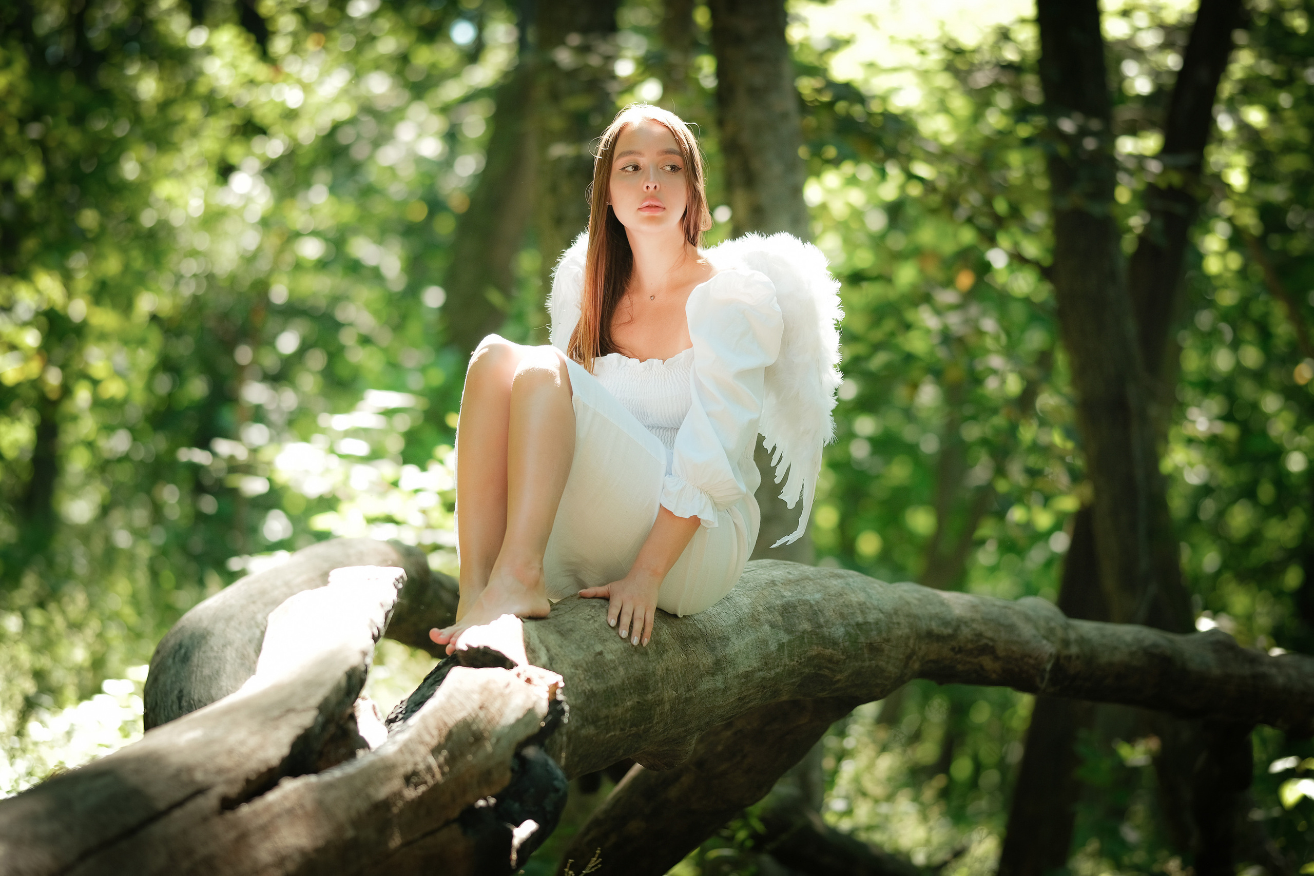 Like An Angel. Aleksandr Schafft