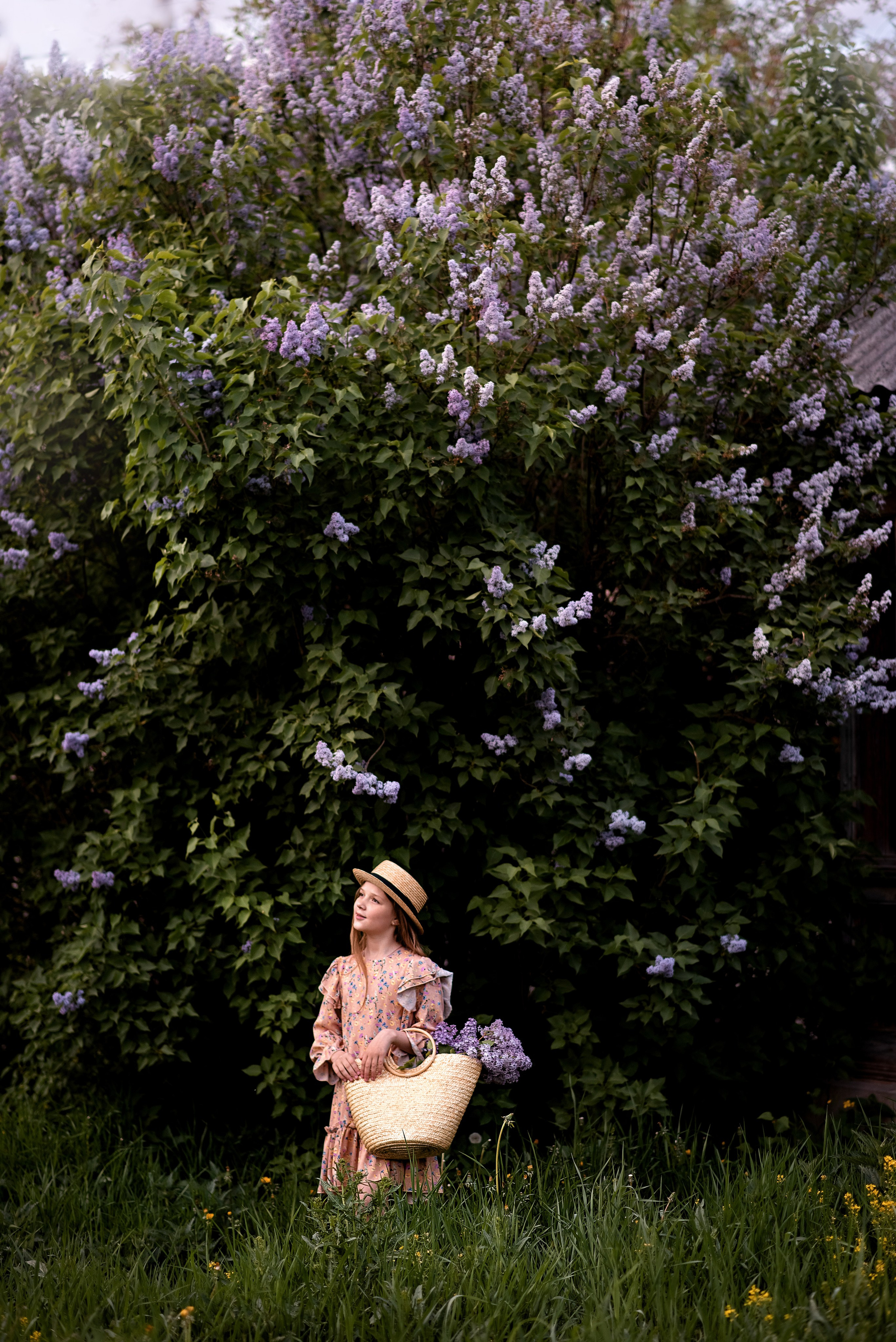 Александра. Фотосессия в цветущей сирени. Семейный и детский фотограф в Туле Светлана Воронкова