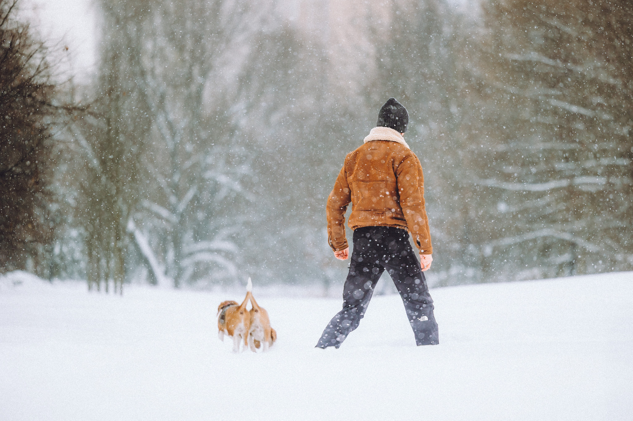 Роман, Портер и Коррес