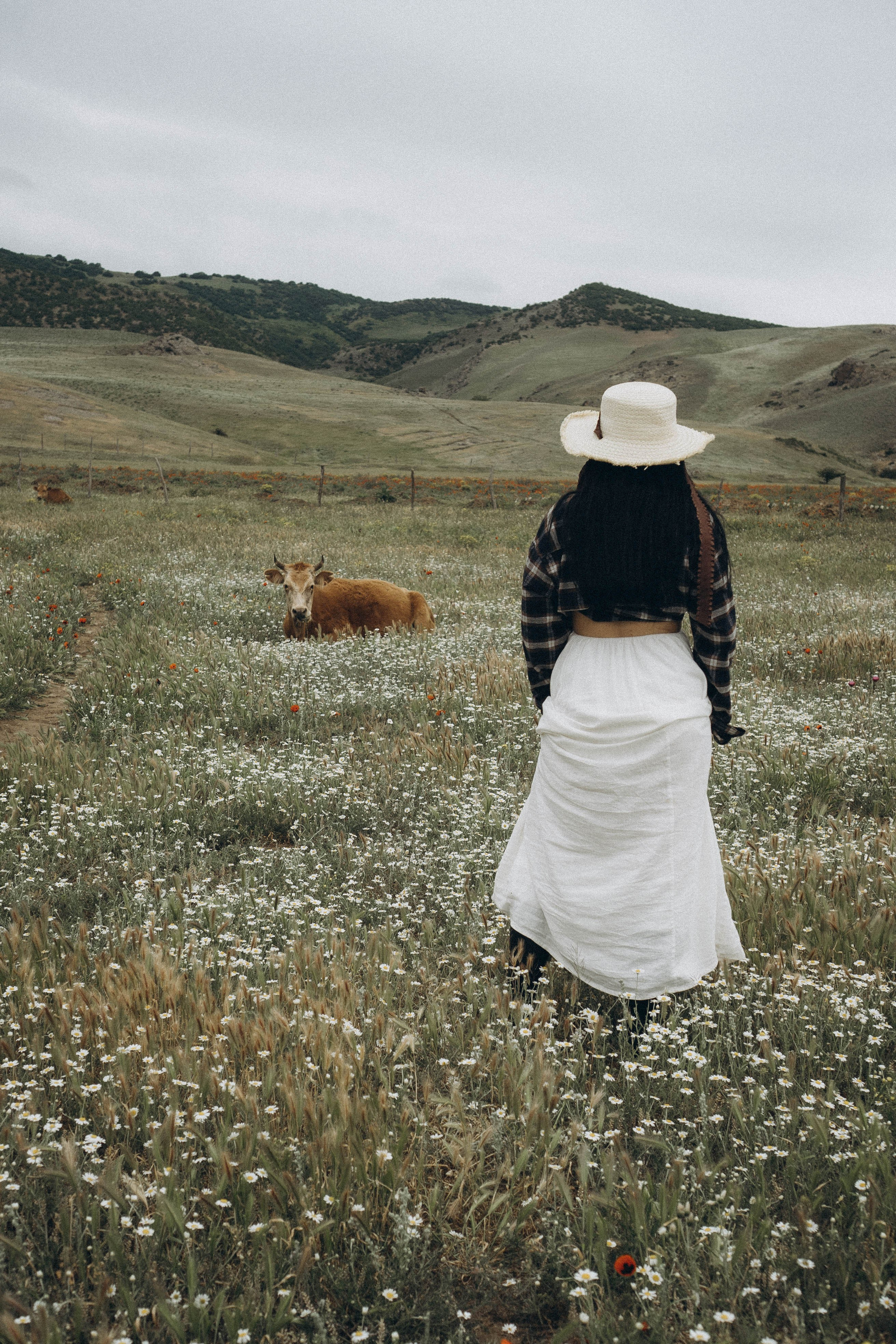 Маковое поле. Профессиональный фотограф, Санкт-Петербург — Виктория Богомолова