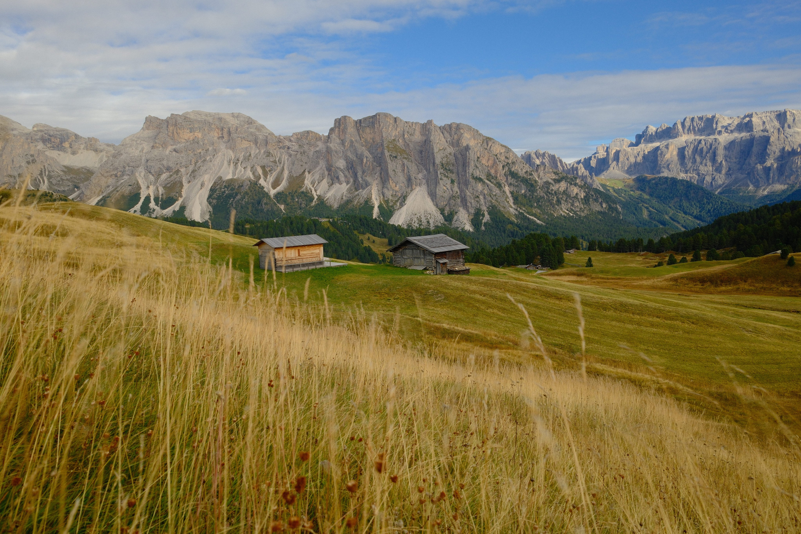 Фотографии природных явлений и животных. Фотограф Андрей Македонский