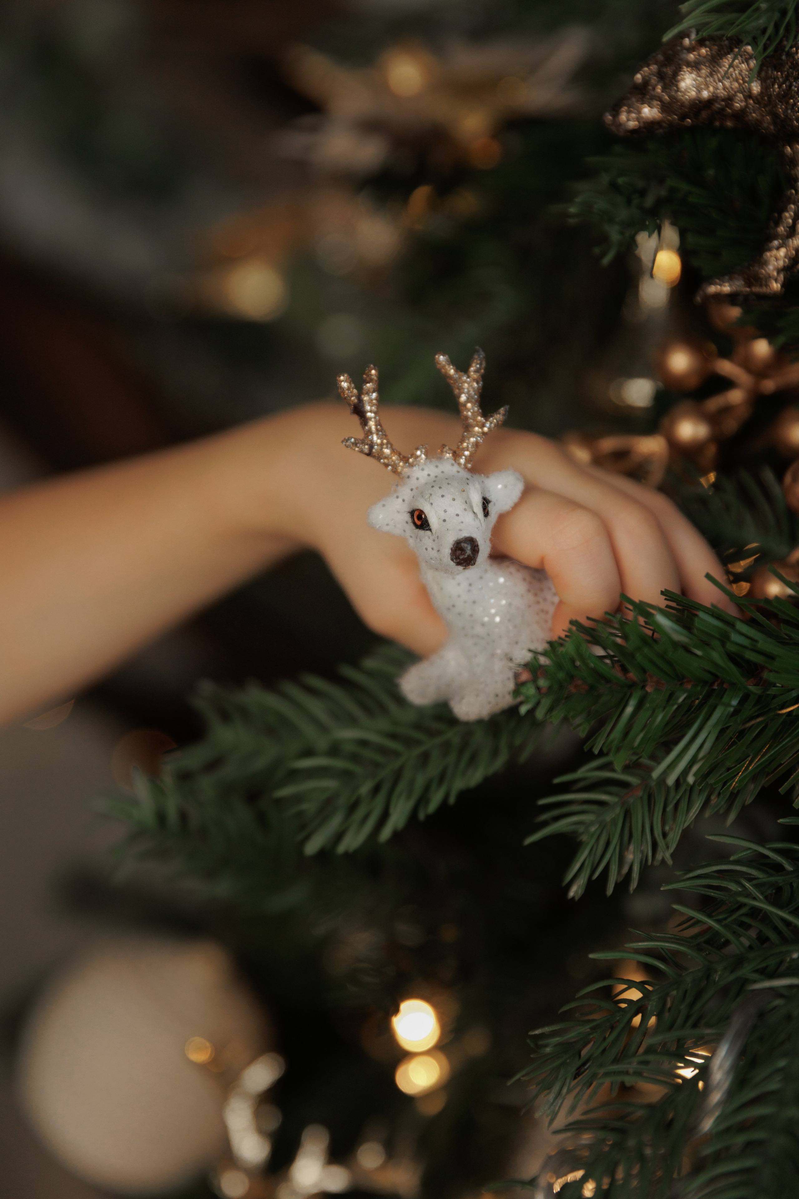 Катя с семьей. Фотограф женского портрета, беременности и материнства Харькова Елена